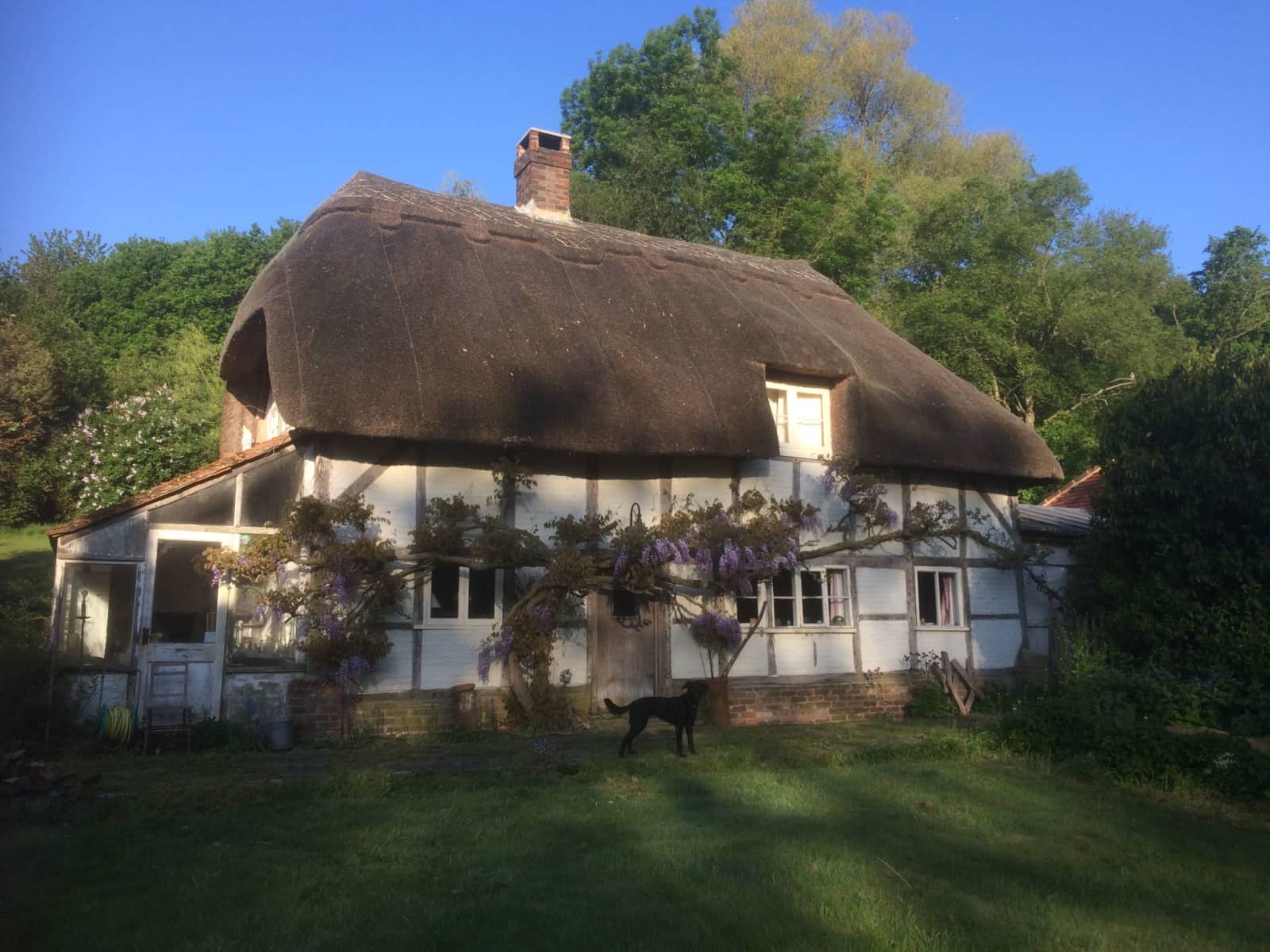 Housesitting assignment in Basingstoke, United Kingdom