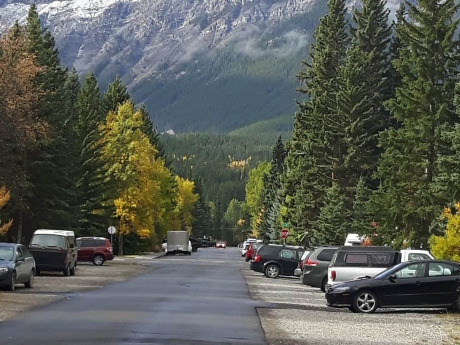 Housesitting assignment in Canmore, Alberta, Canada