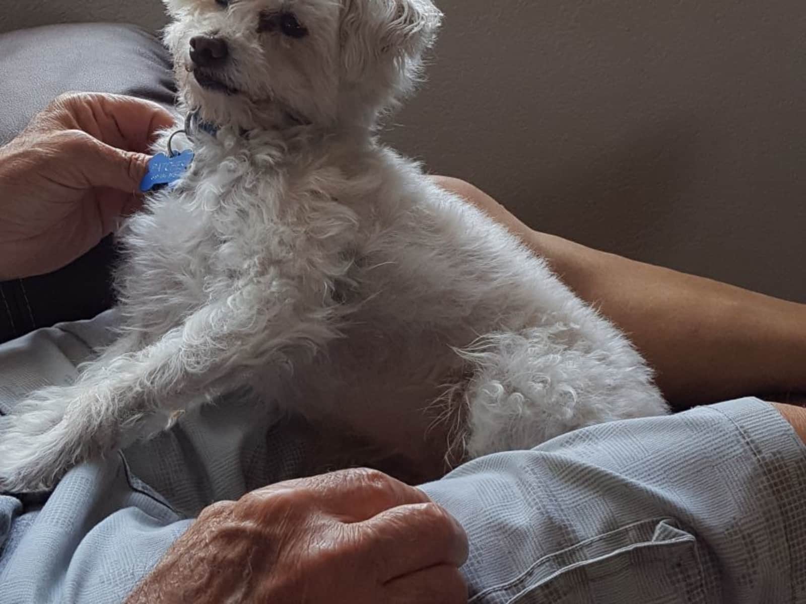 Housesitting assignment in San Diego, California, United States