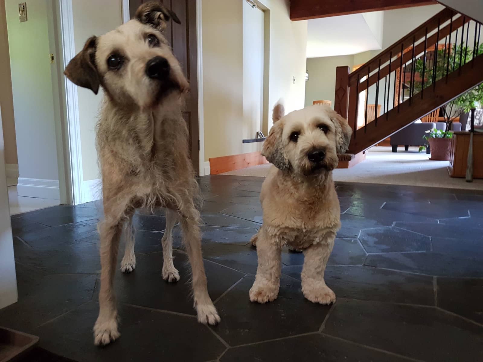 Brett & Stacey from Toronto, Ontario, Canada