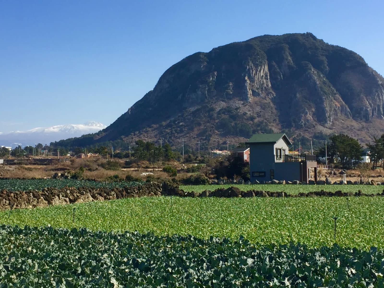 Housesitting assignment in Sagye-ri, South Korea