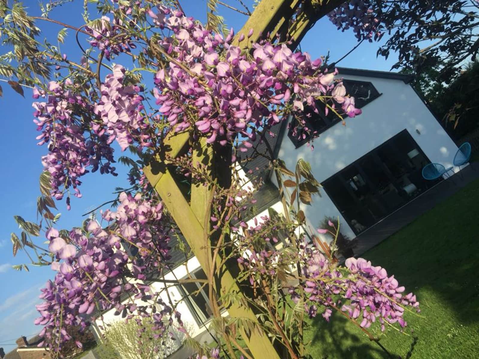 Housesitting assignment in Haywards Heath, United Kingdom