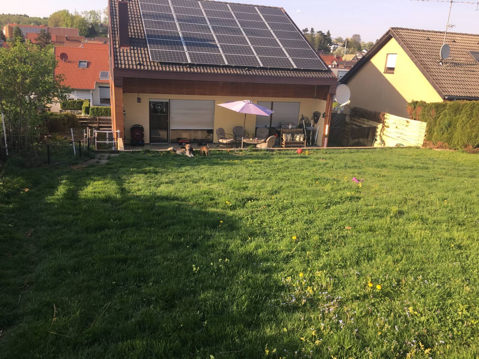 Housesitting assignment in Ohmden, Germany