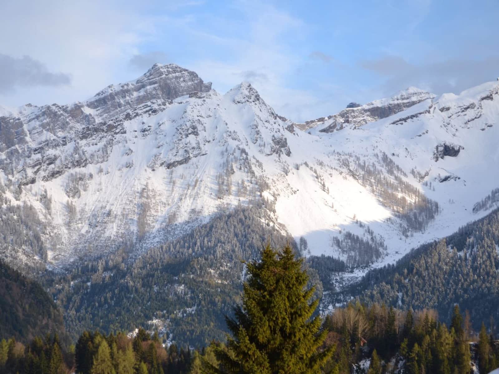 Housesitting assignment in Arveyes, Switzerland