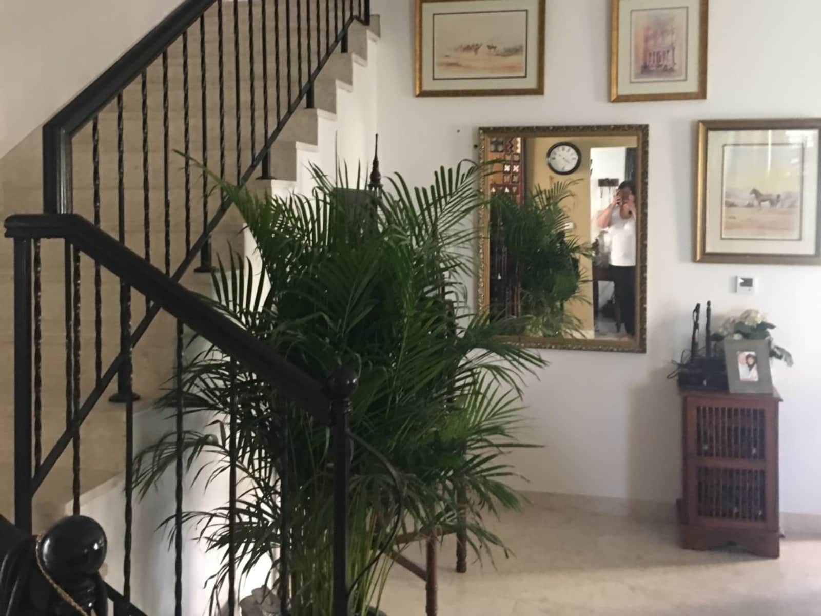 Housesitting assignment in Dubai, United Arab Emirates