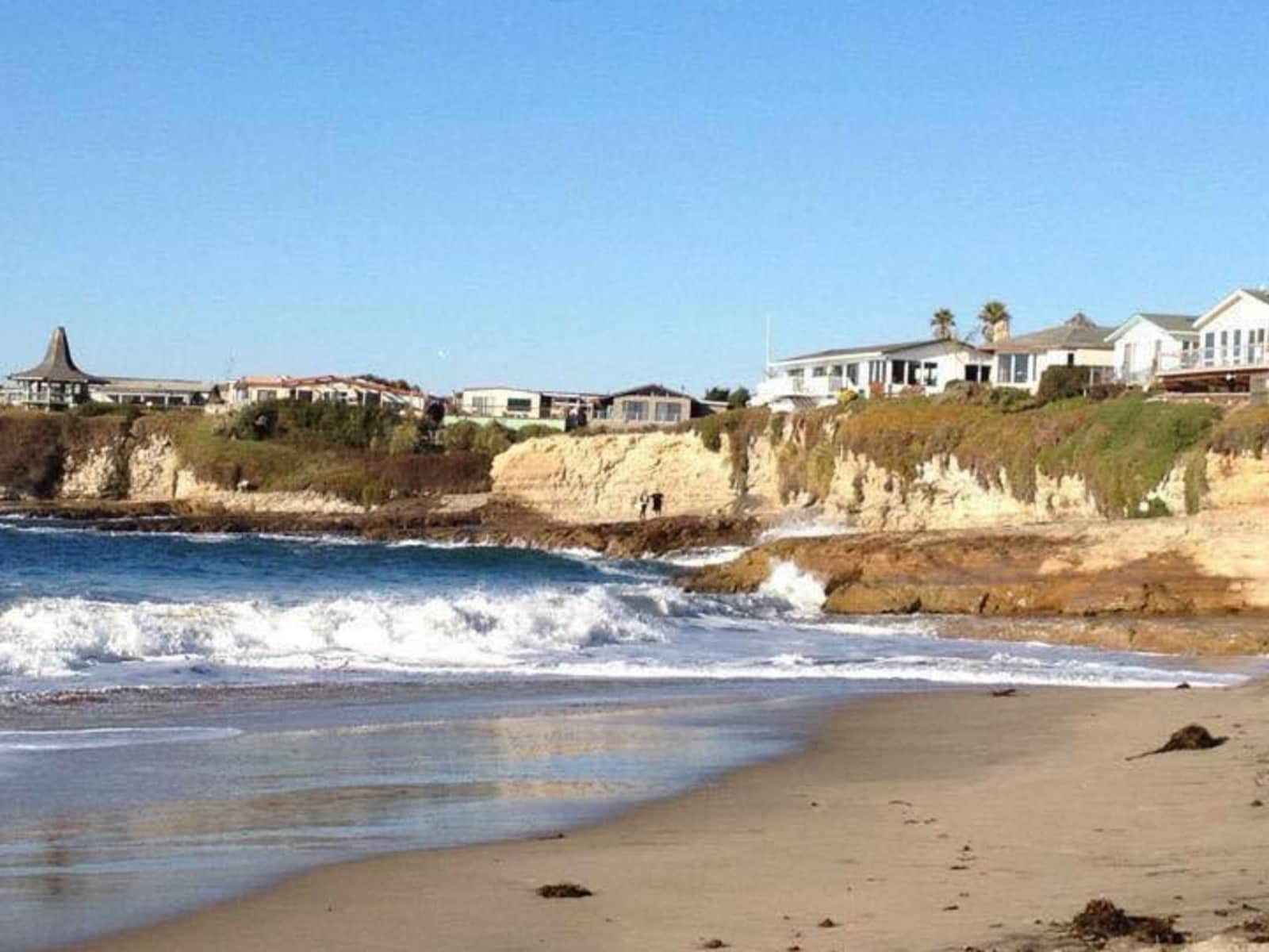 Housesitting assignment in Santa Cruz, California, United States