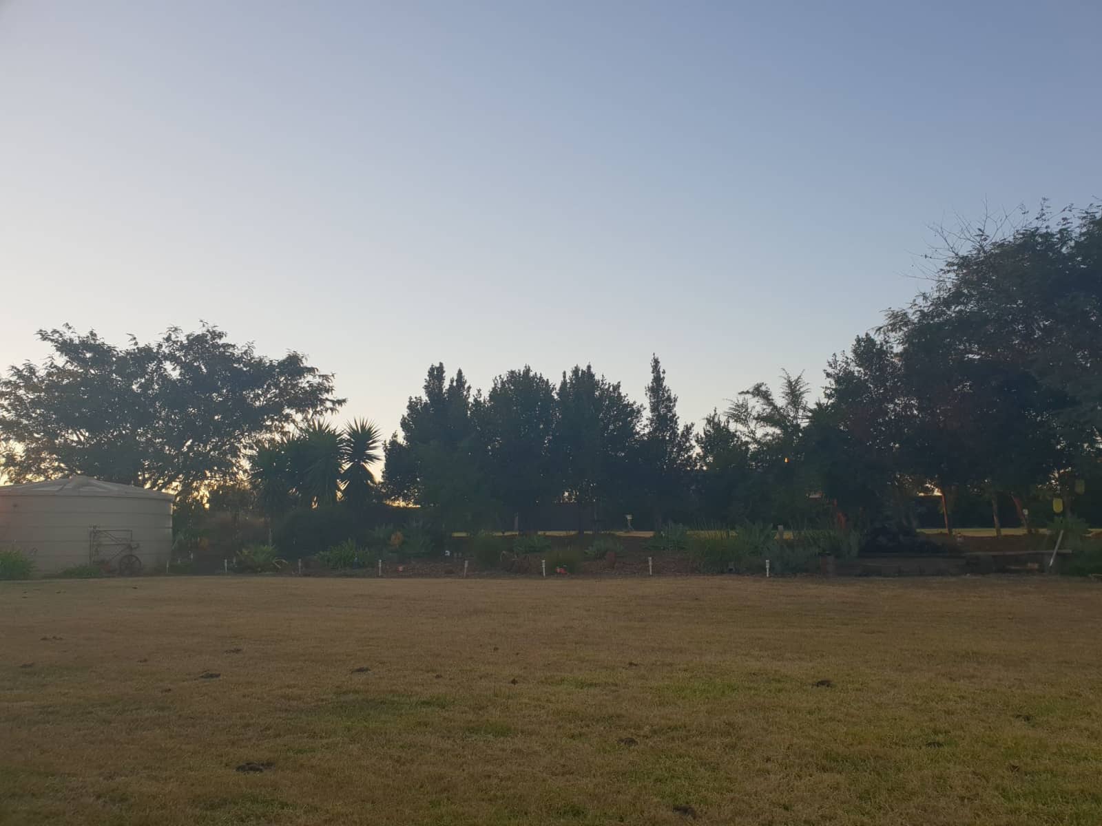 Housesitting assignment in Kingaroy, Queensland, Australia