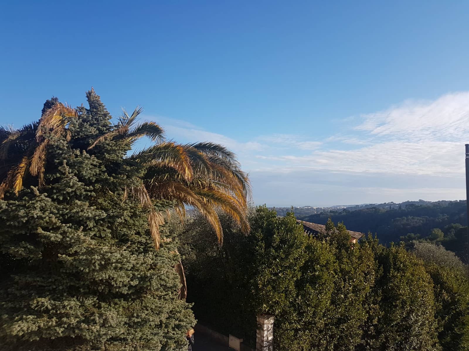 Housesitting assignment in Biot, France