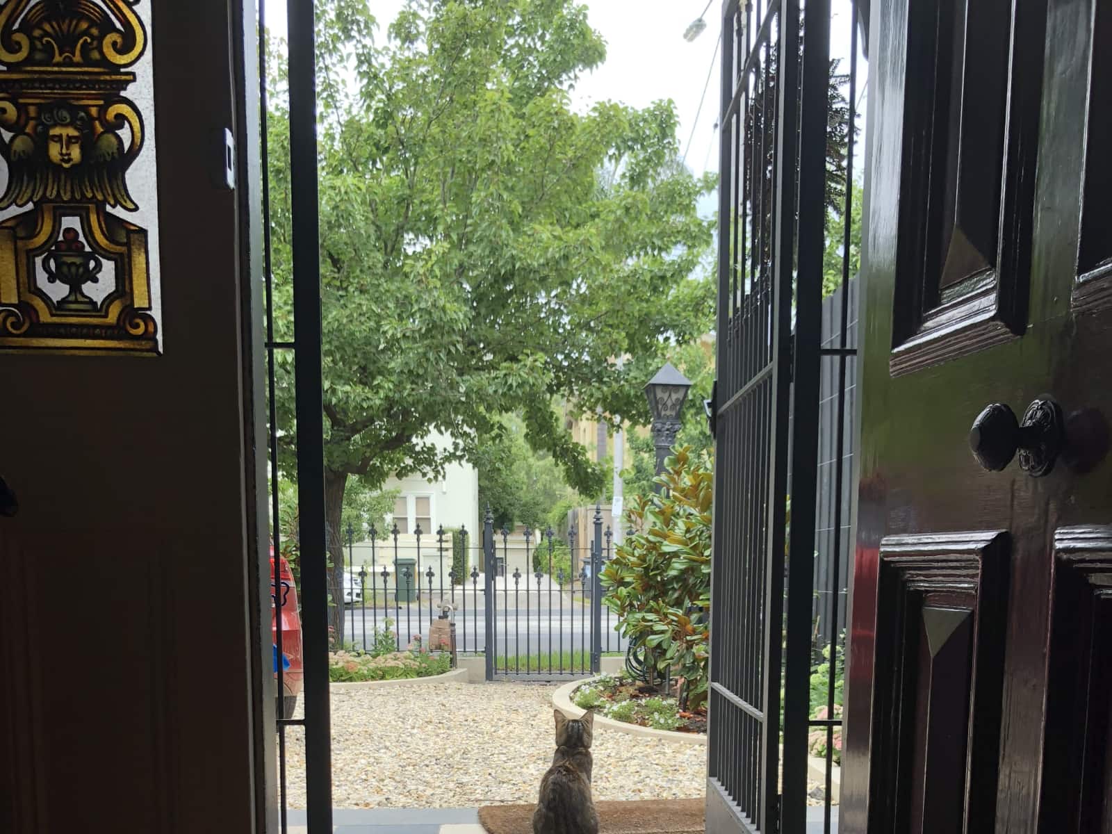 Housesitting assignment in St Kilda West, Victoria, Australia