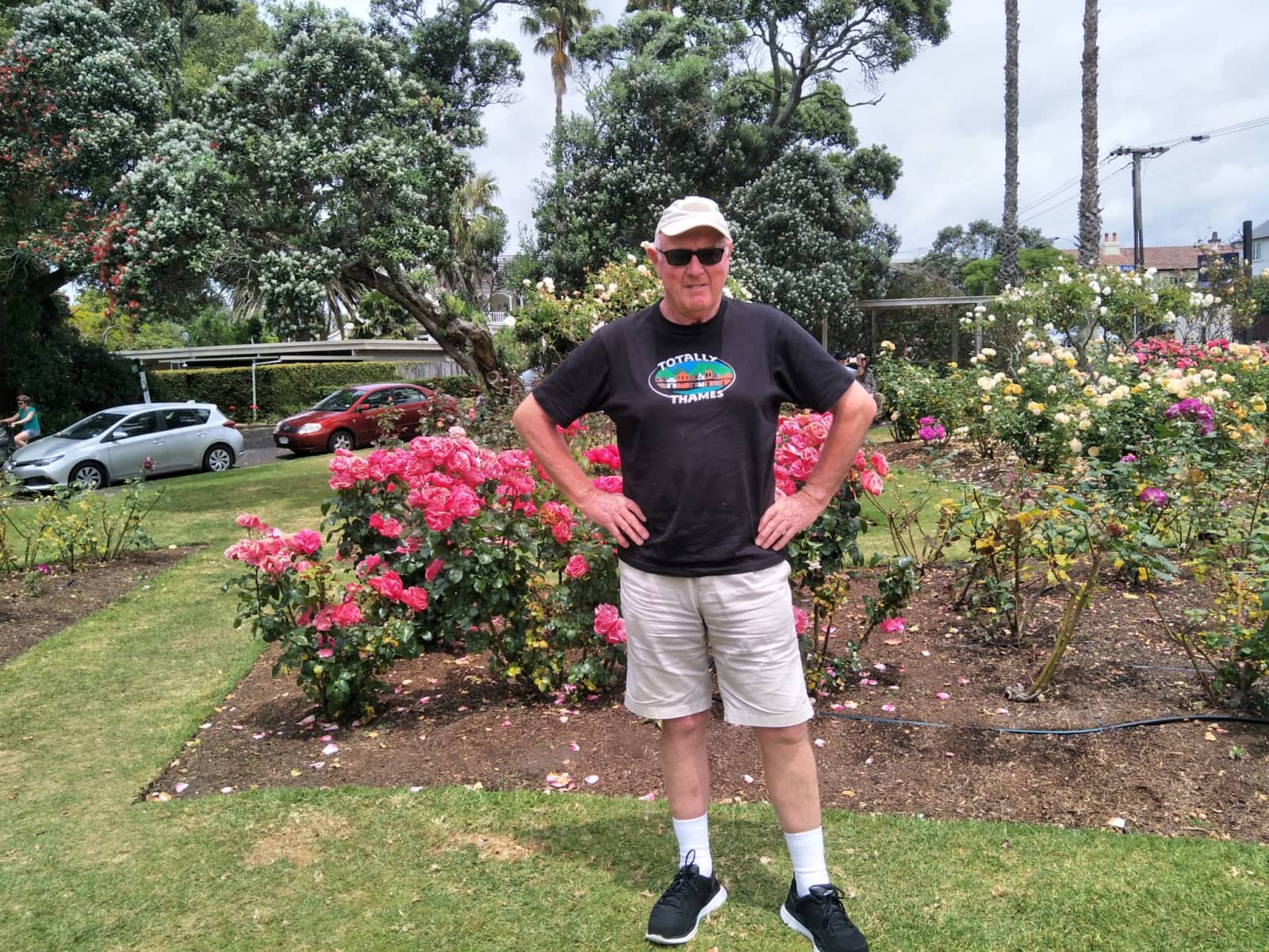David from Thames, New Zealand
