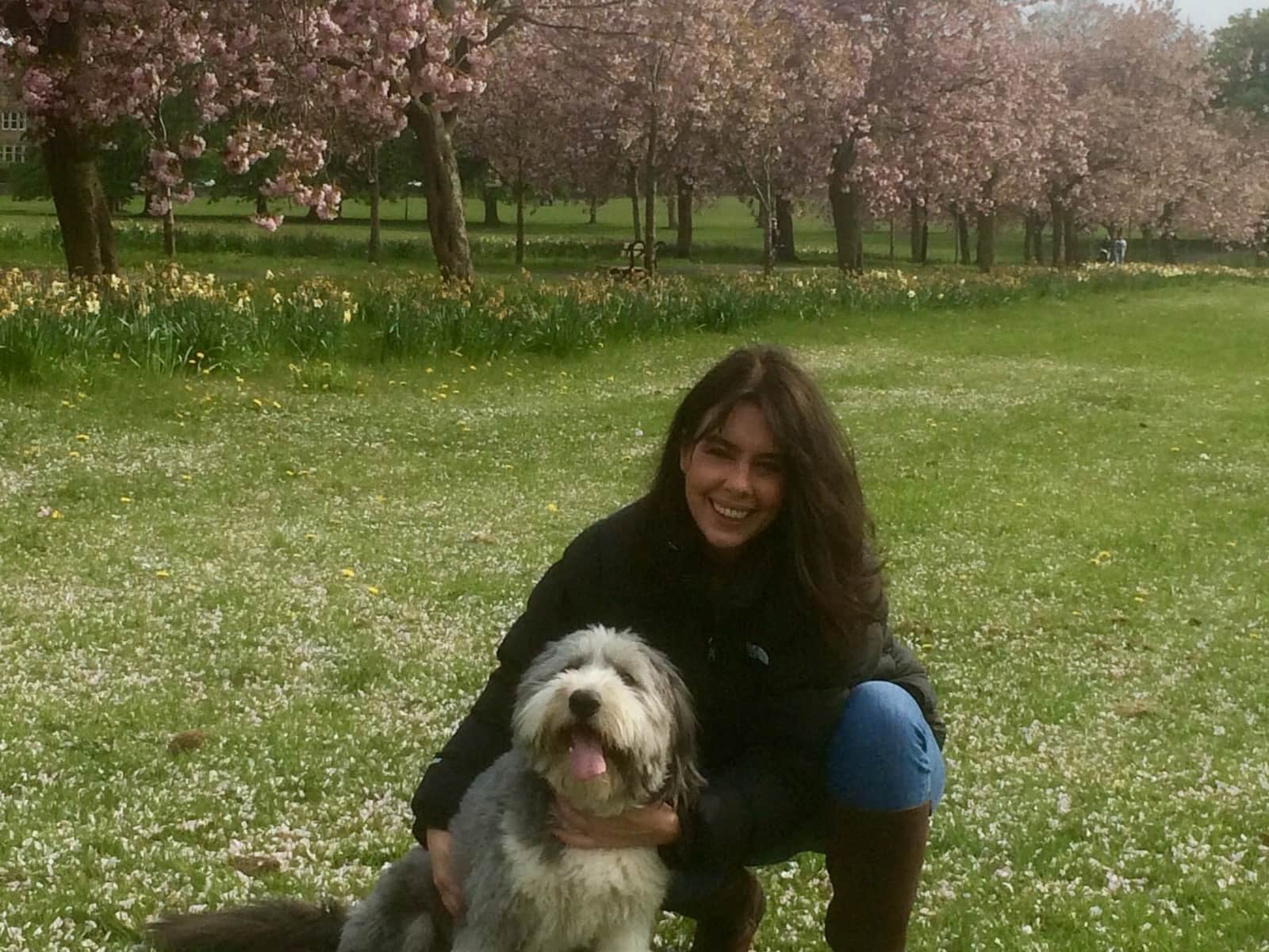 Lynne from Harrogate, United Kingdom