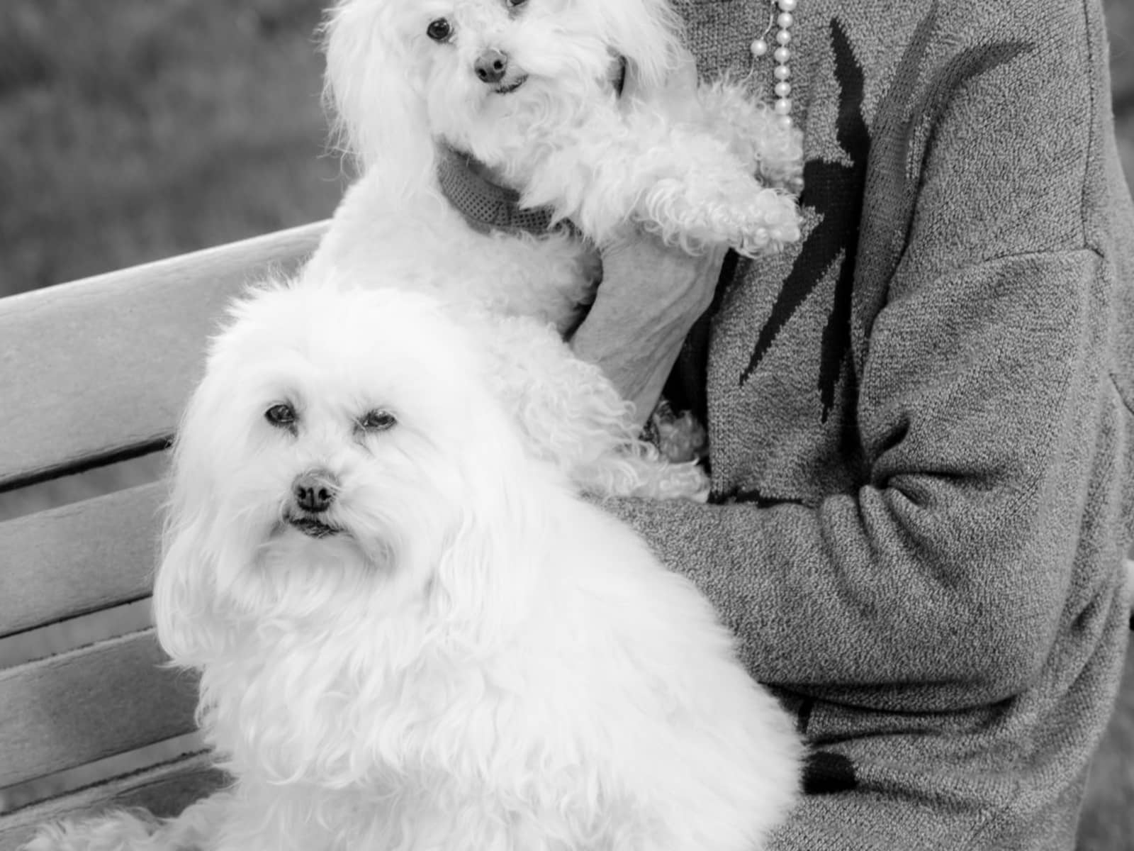 Sherri from Portland, Oregon, United States
