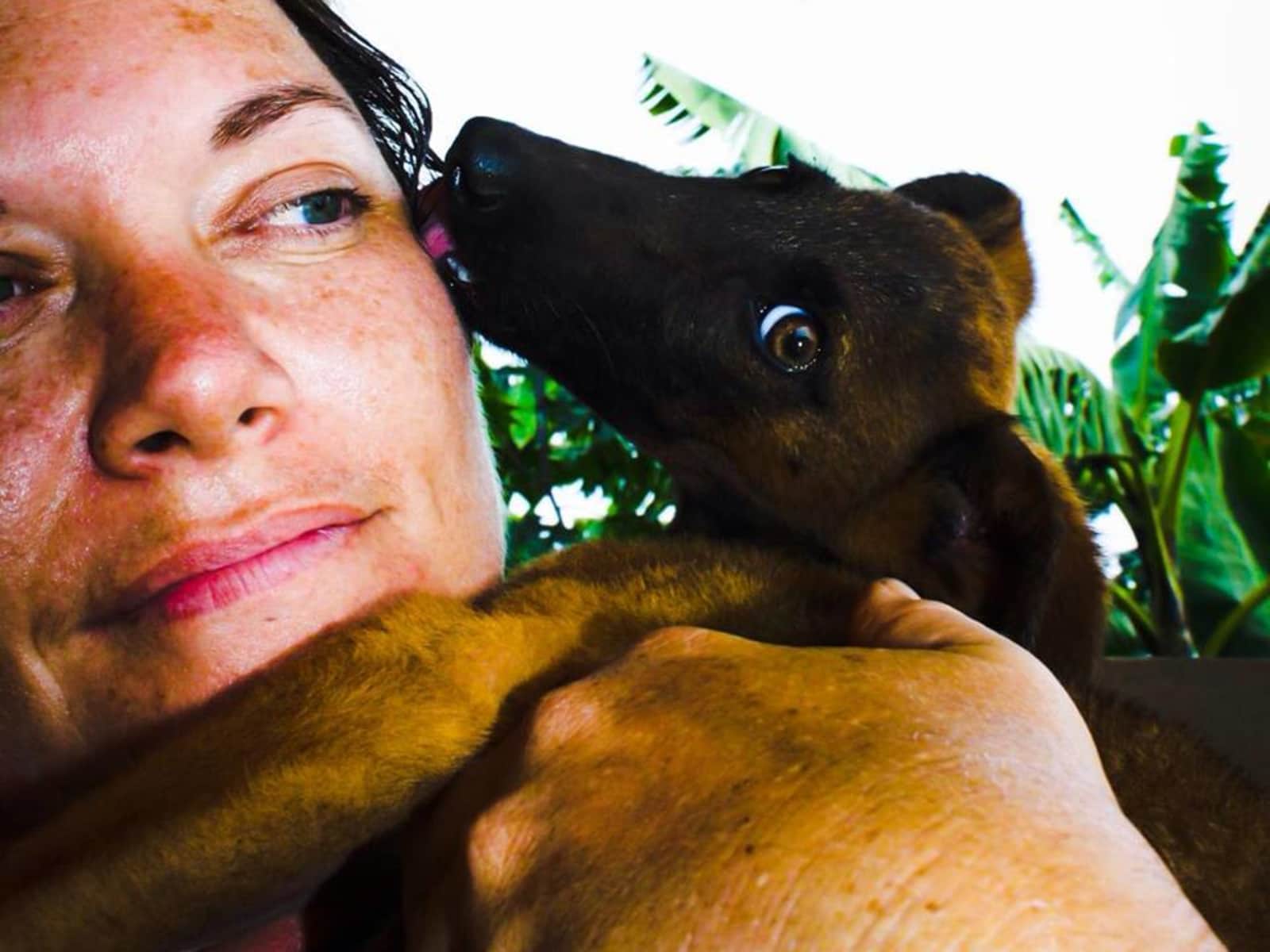 Lisa from Gainesville, Florida, United States