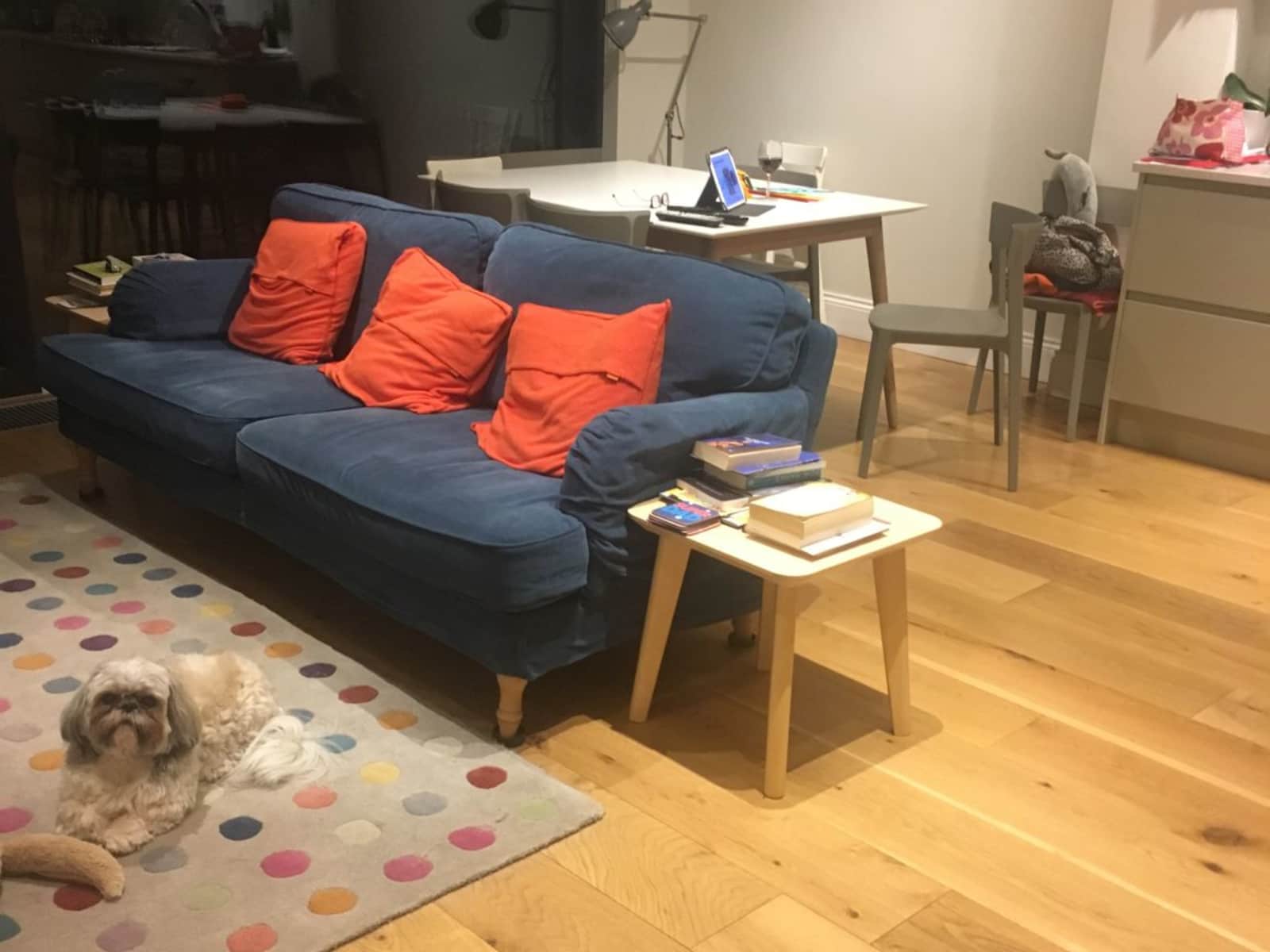 Housesitting assignment in Clontarf, Ireland