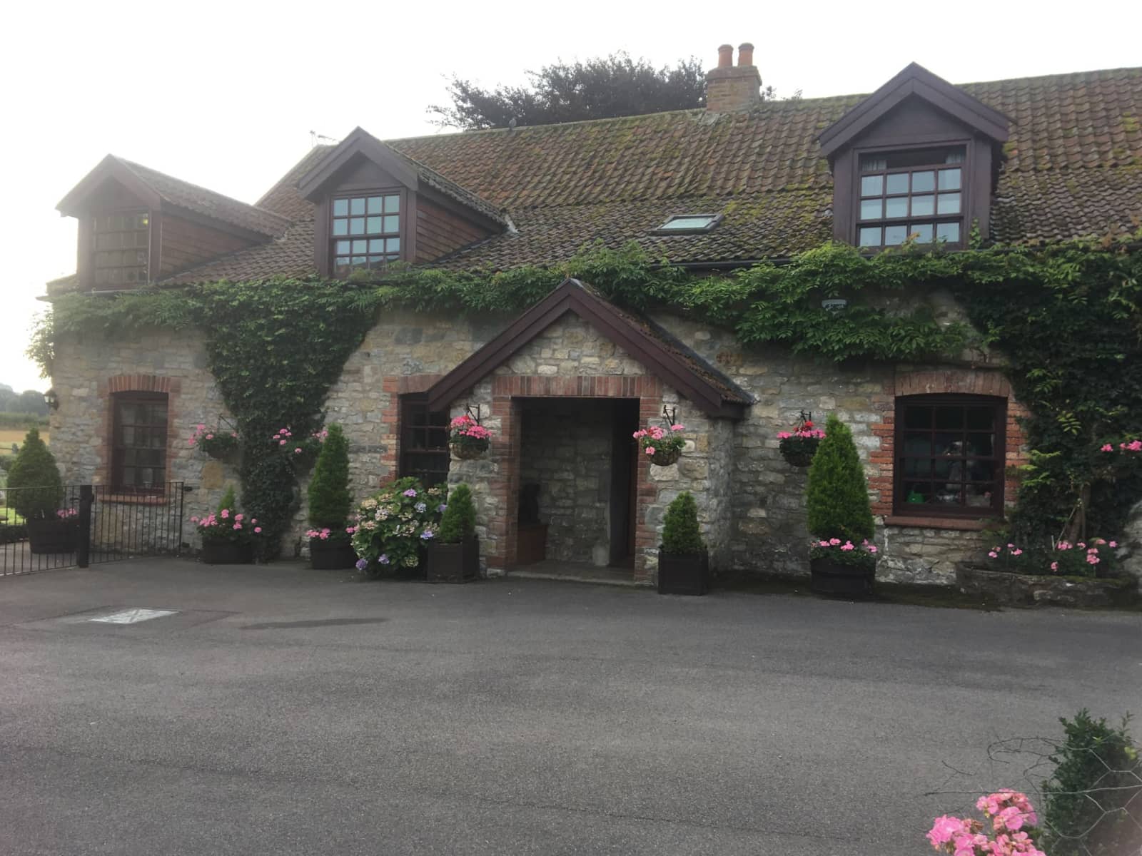 Housesitting assignment in Bath, United Kingdom
