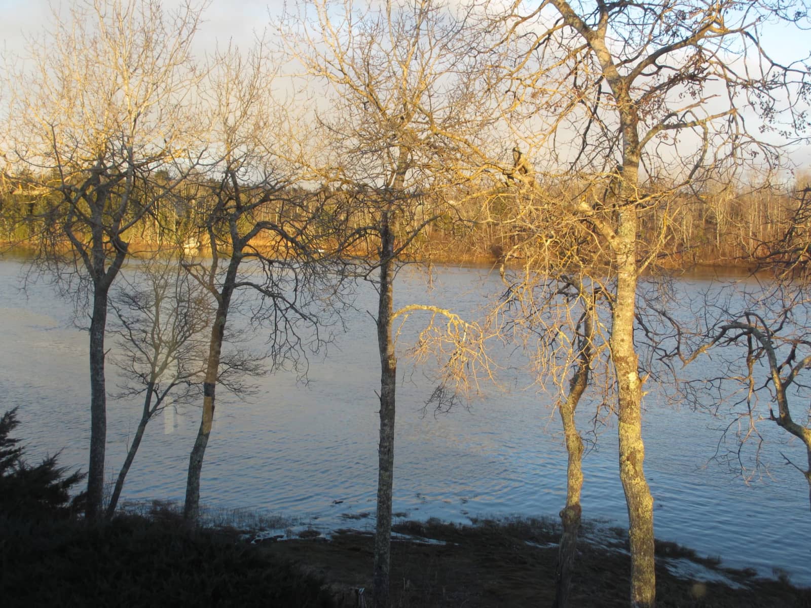 Housesitting assignment in Trenton, Maine, United States