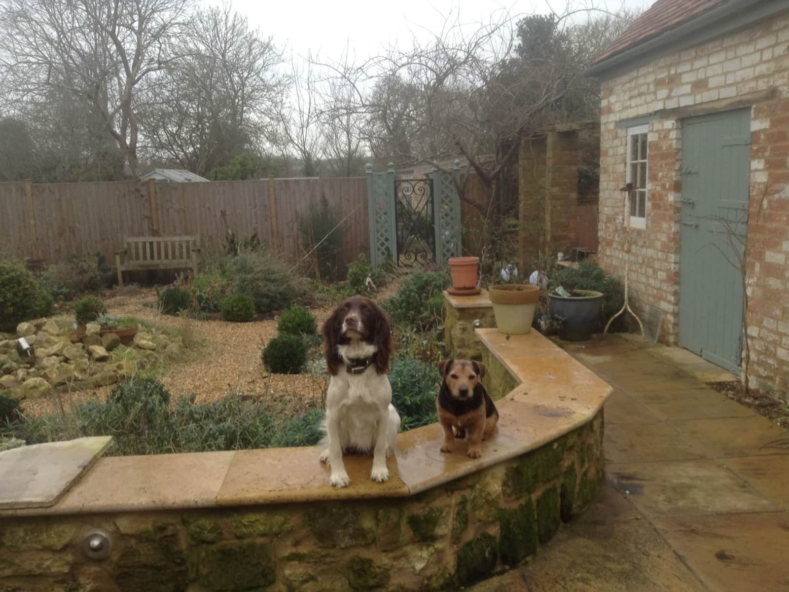 Housesitting assignment in Towcester, United Kingdom
