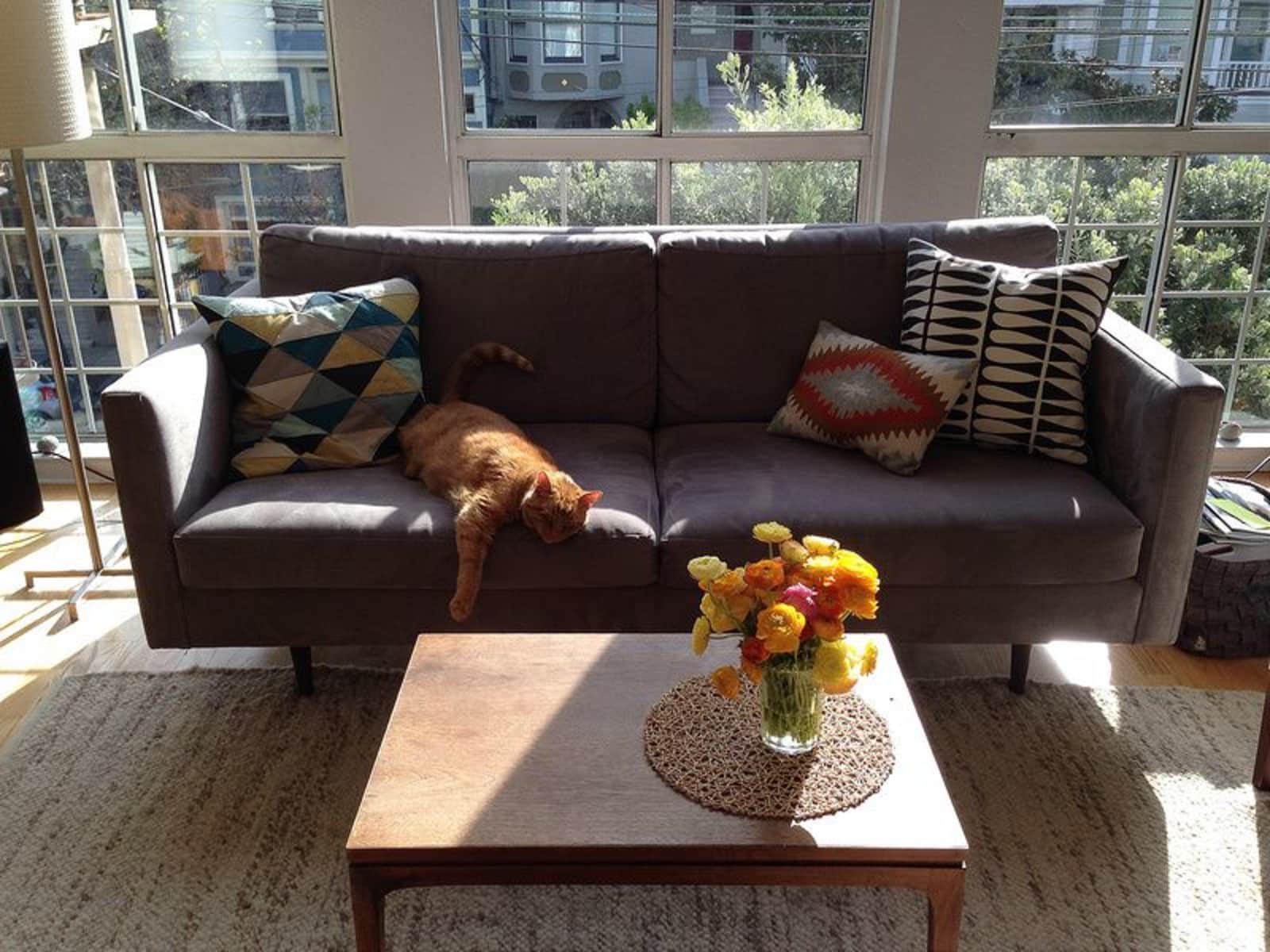 Housesitting assignment in San Francisco, California, United States