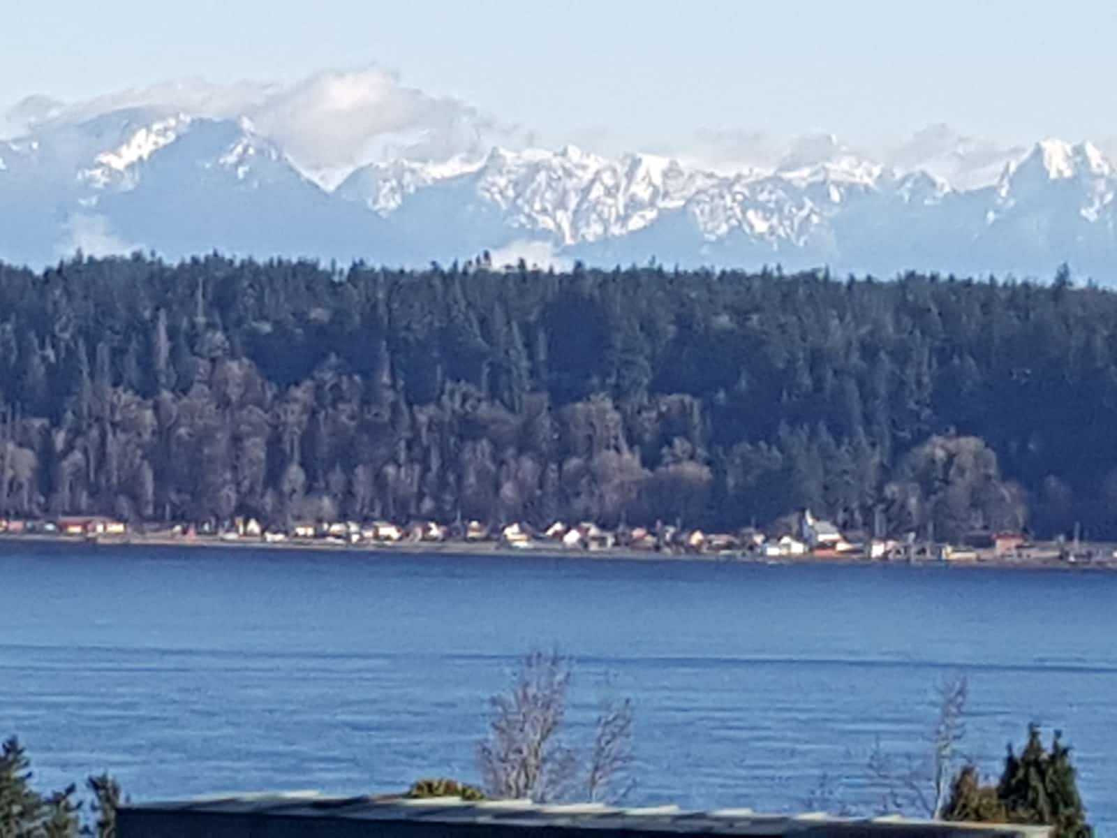 Burton and rosemary & Rosemary from Campbell River, British Columbia, Canada