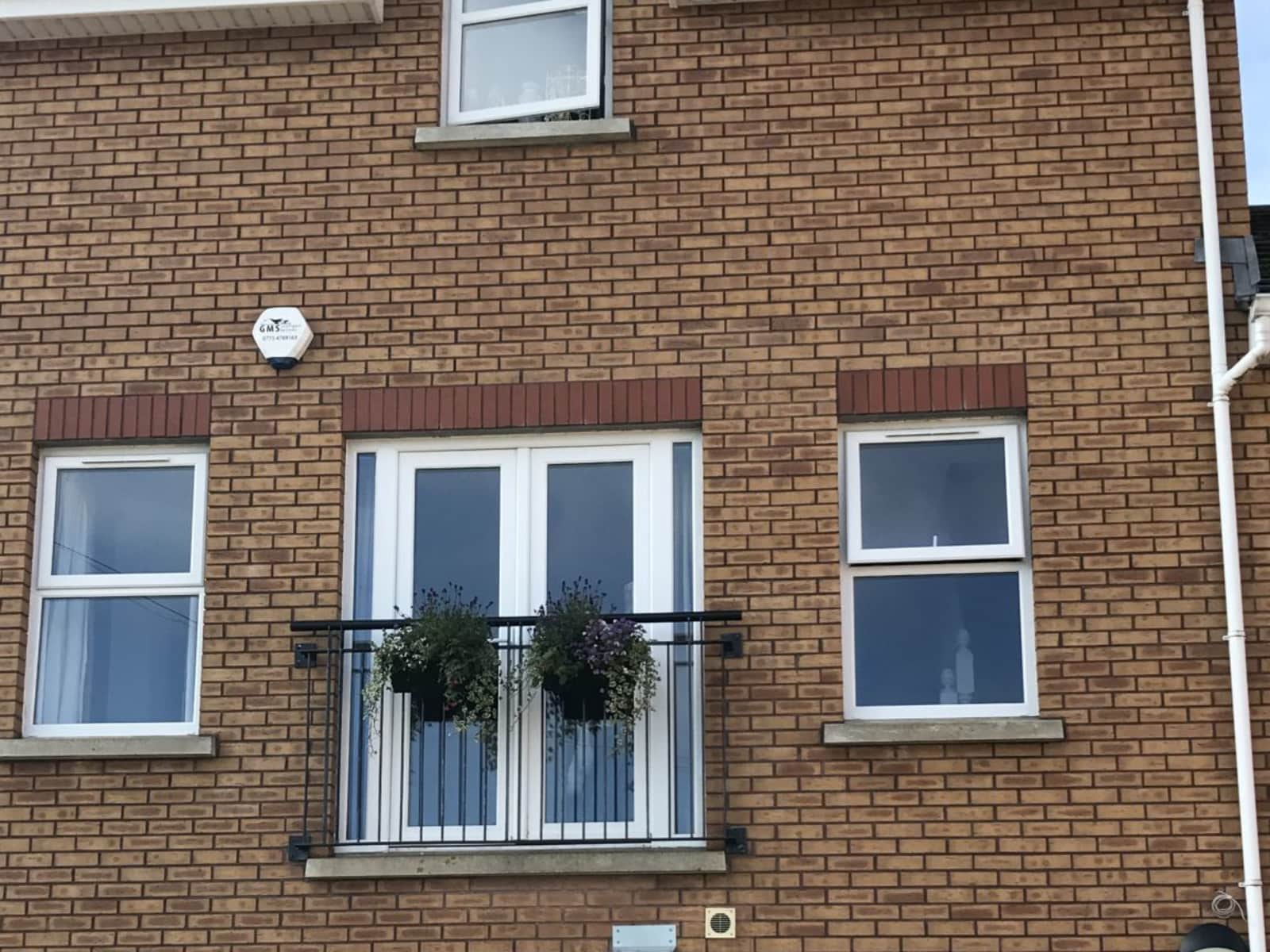 Housesitting assignment in Portrush, United Kingdom