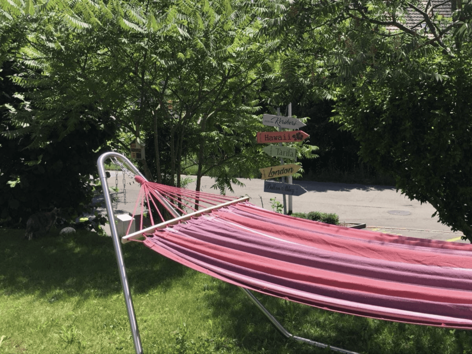 Housesitting assignment in Nänikon, Switzerland