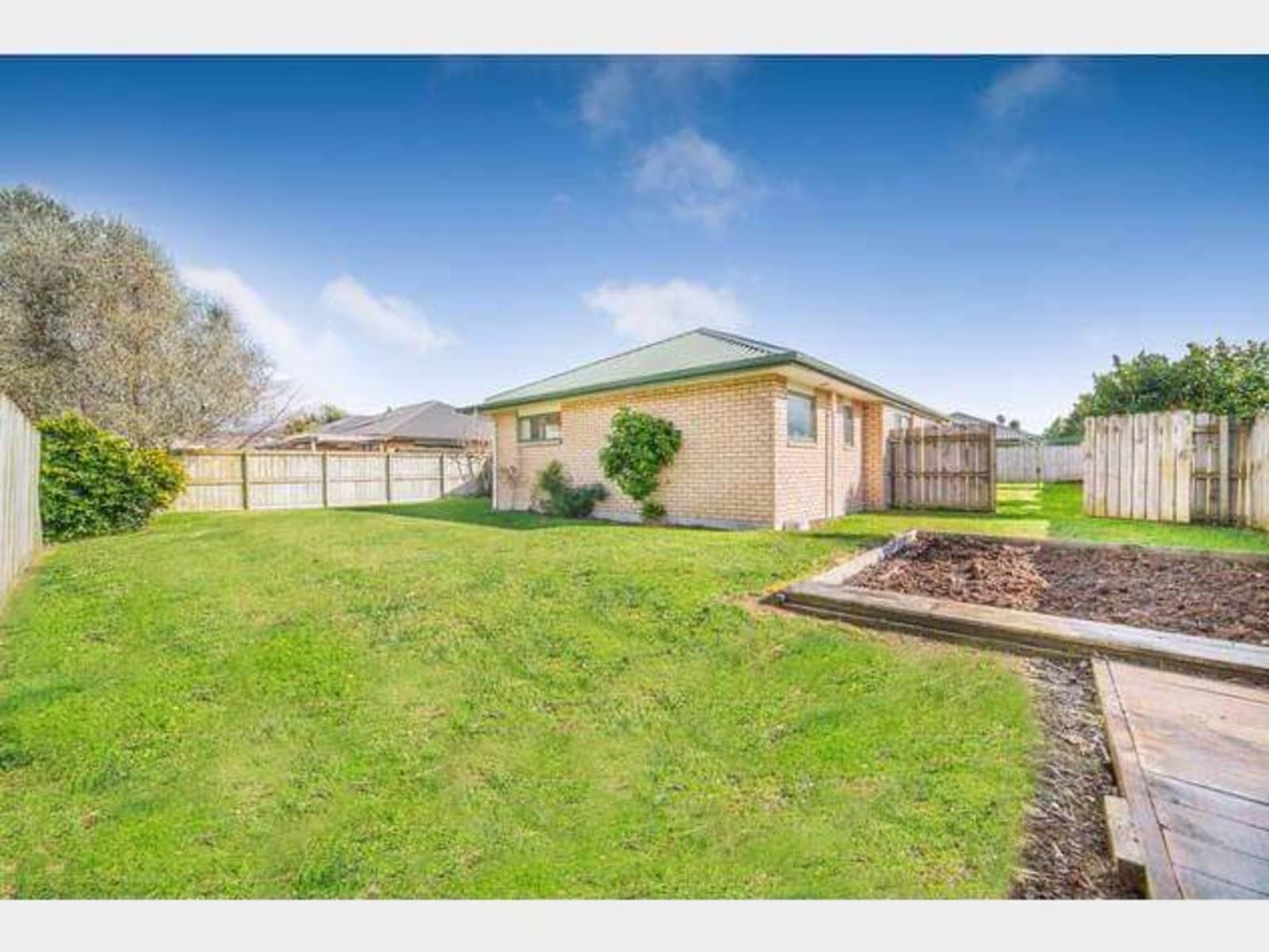 Housesitting assignment in Auckland, New Zealand