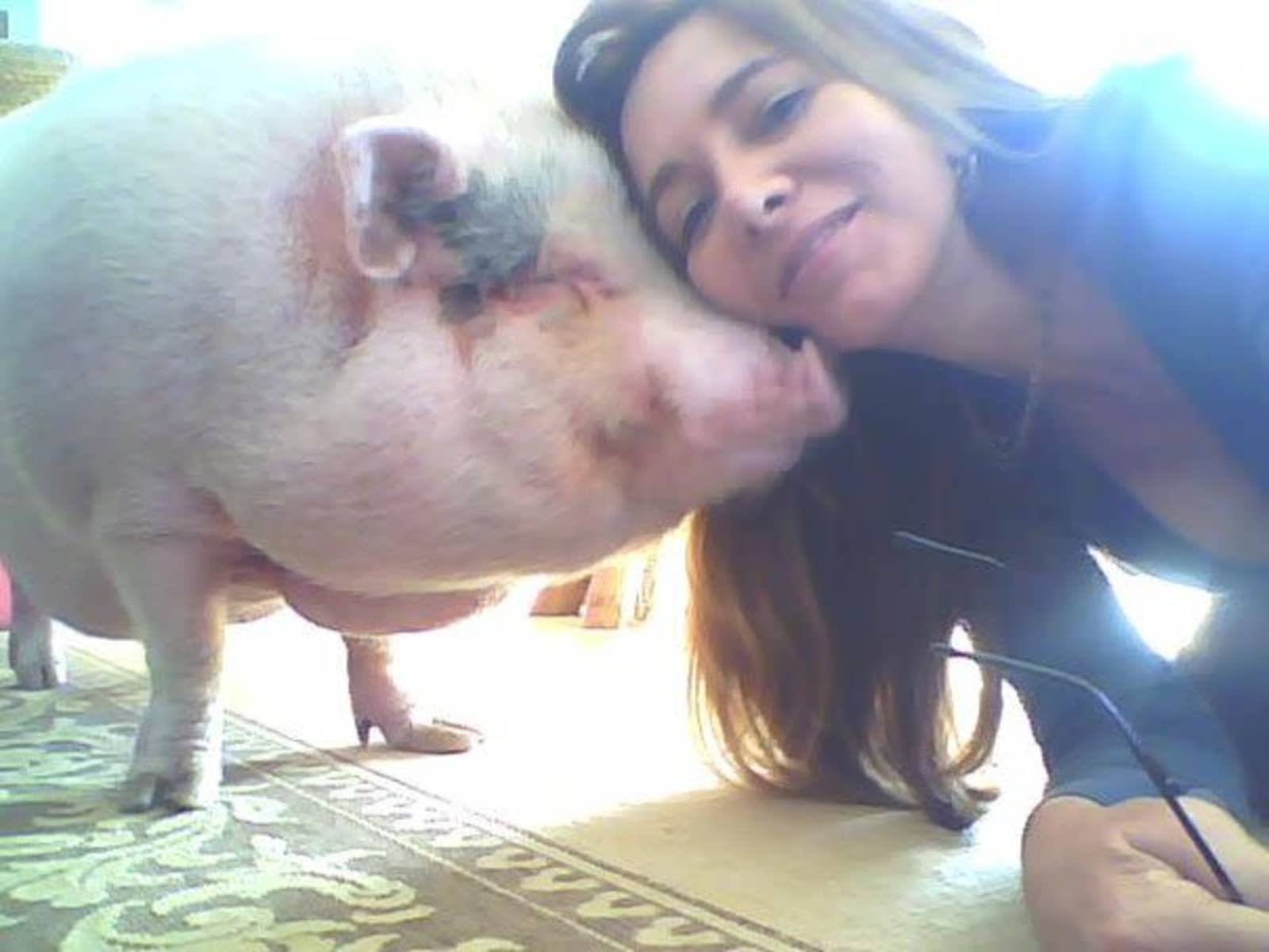 Lucia & William from Miami, Florida, United States