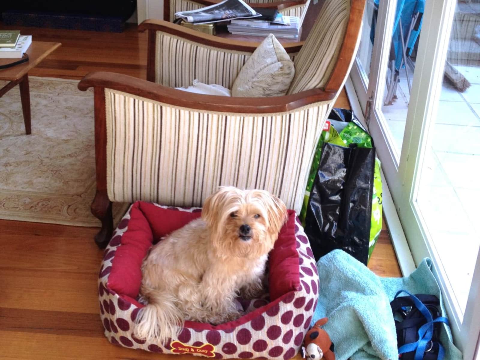 Lynda from Melbourne, Victoria, Australia