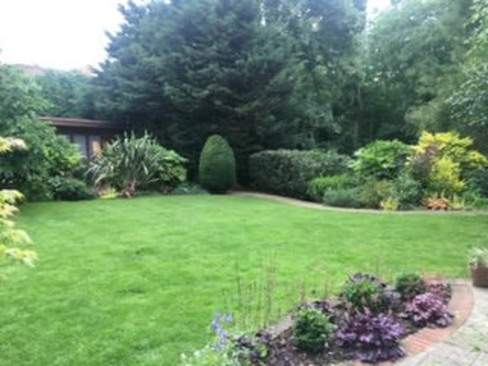 Housesitting assignment in London, United Kingdom