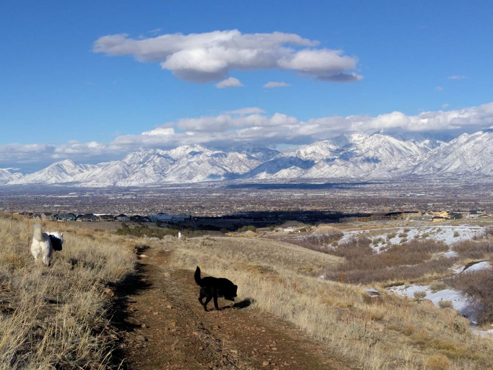Housesitting assignment in Riverton, Utah, United States