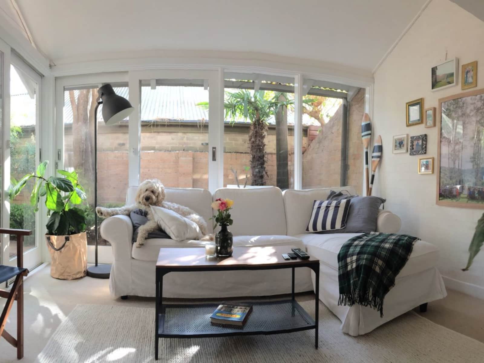 Housesitting assignment in Balmain, New South Wales, Australia