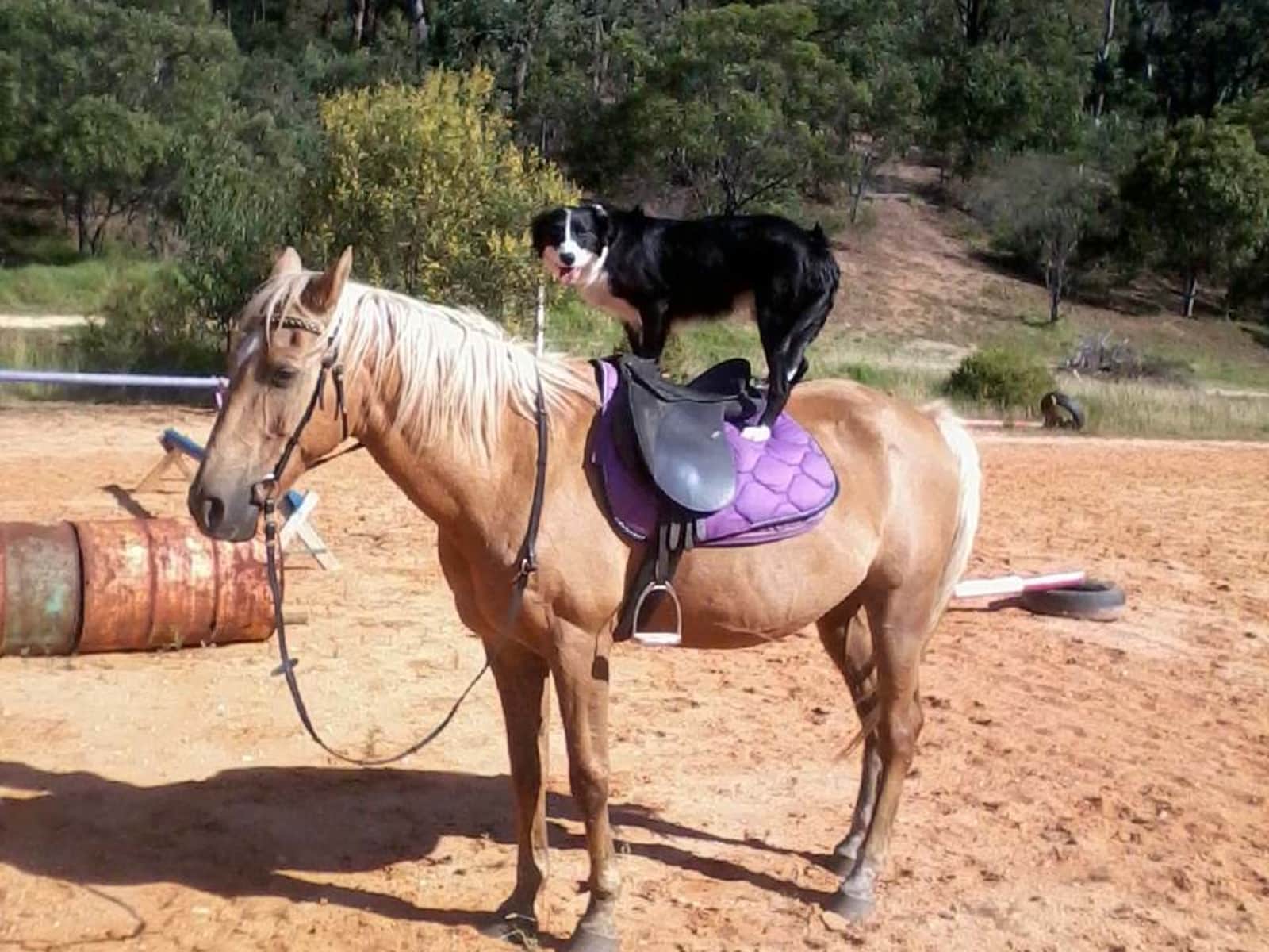 Bruce from Melbourne, Victoria, Australia
