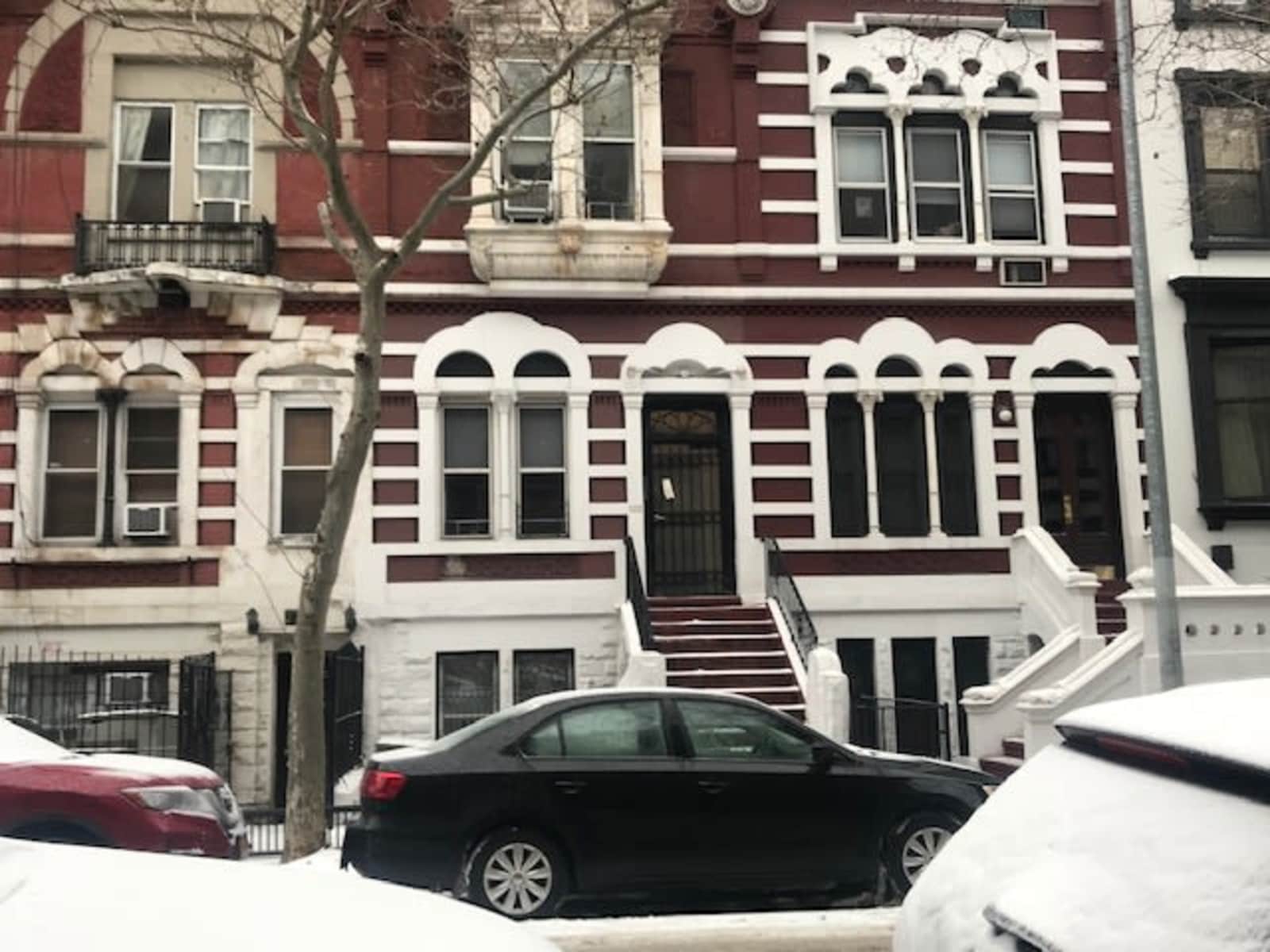 Housesitting assignment in New York City, New York, United States