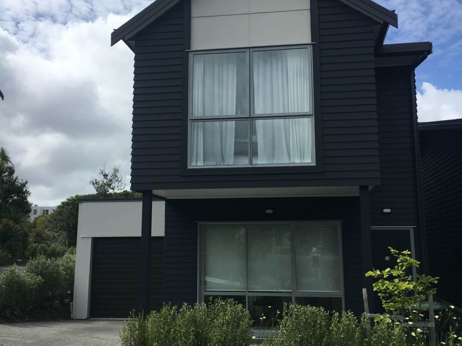 Housesitting assignment in Auckland, New Zealand