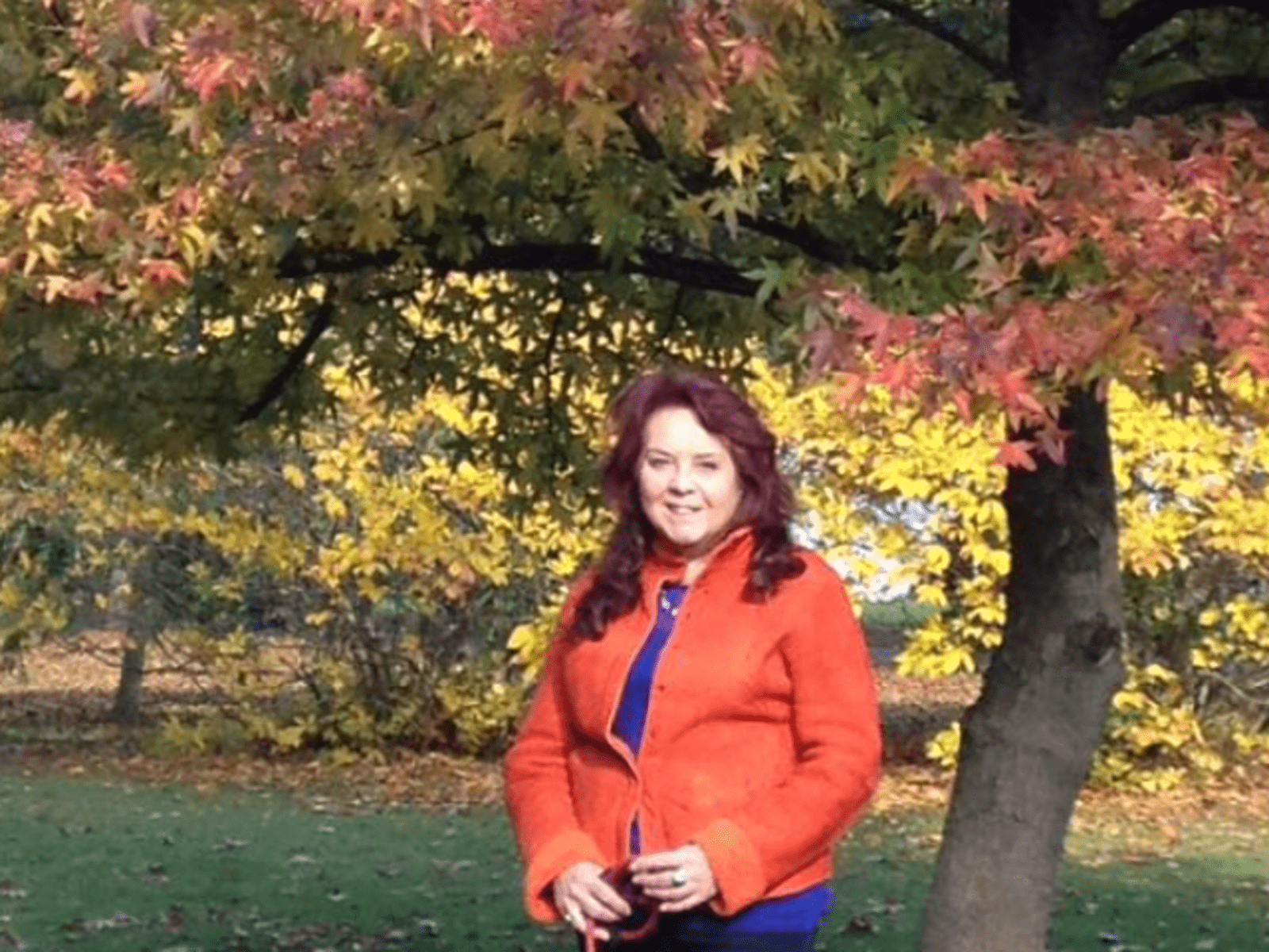 Anne from Ringwood, United Kingdom