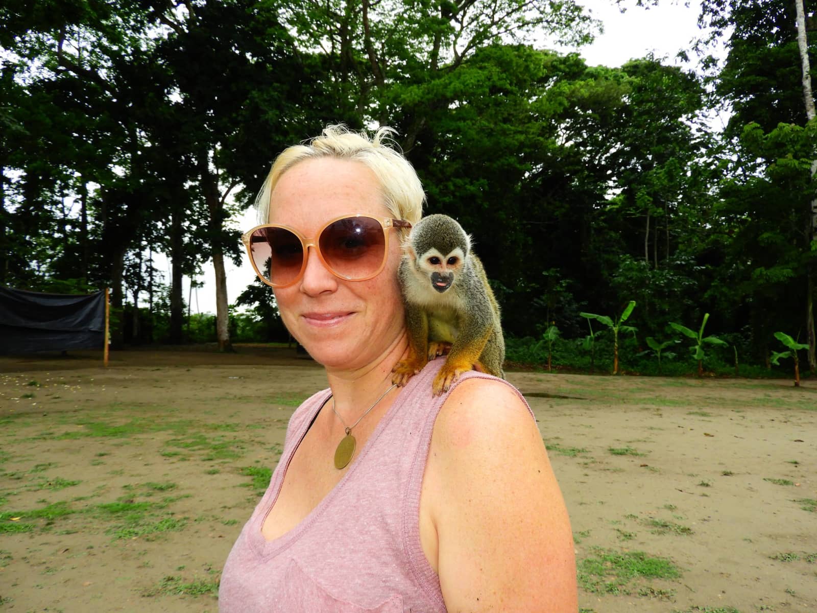 Ginny from Denver, Colorado, United States