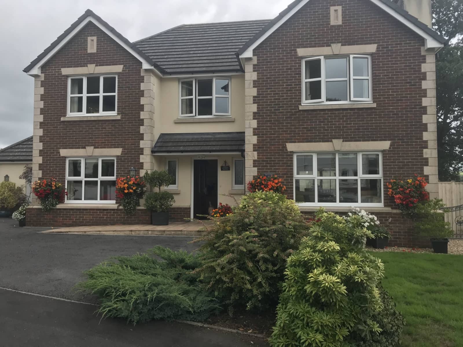 Housesitting assignment in Carmarthen, United Kingdom