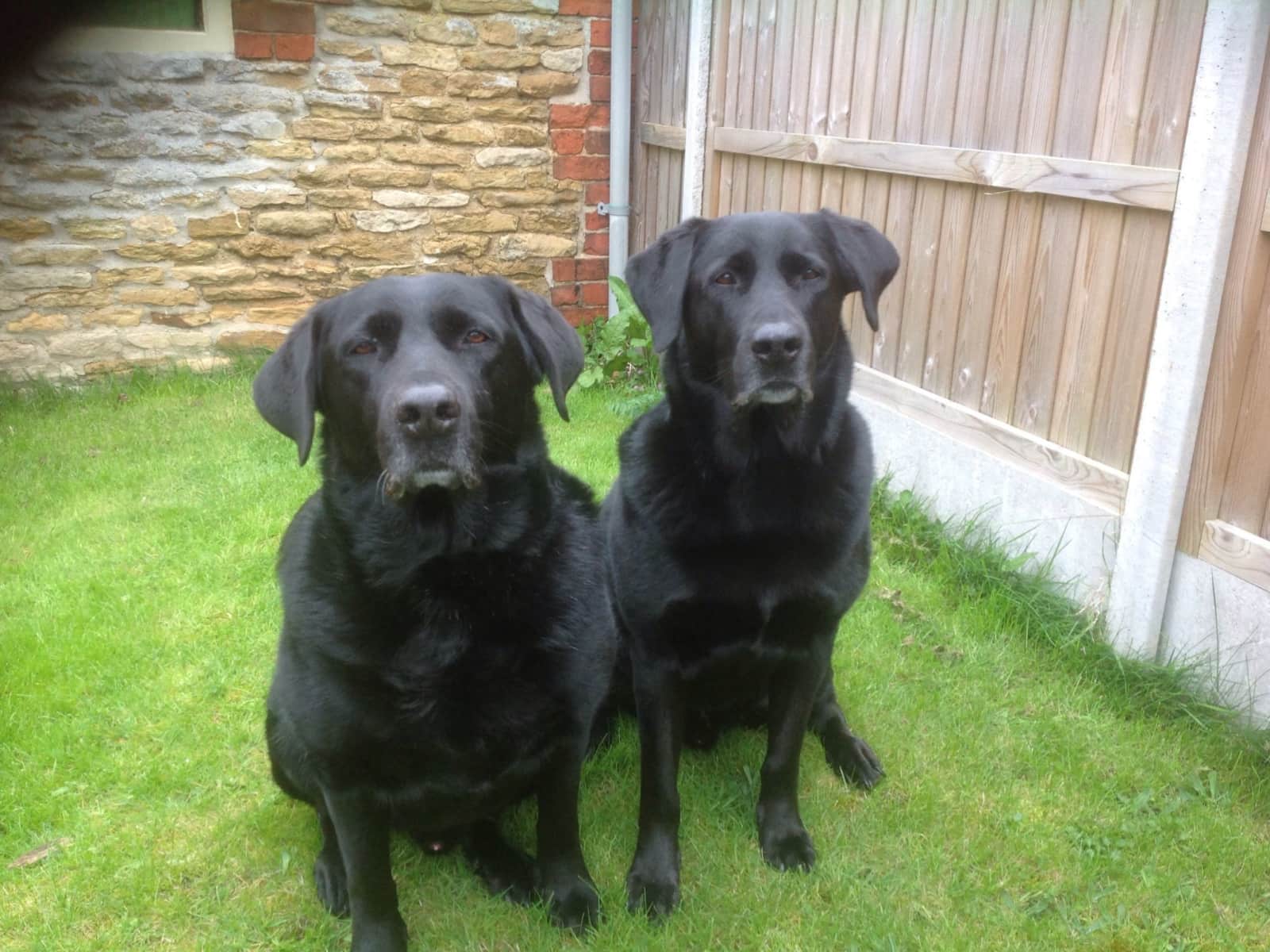 Julie from Coleby, United Kingdom