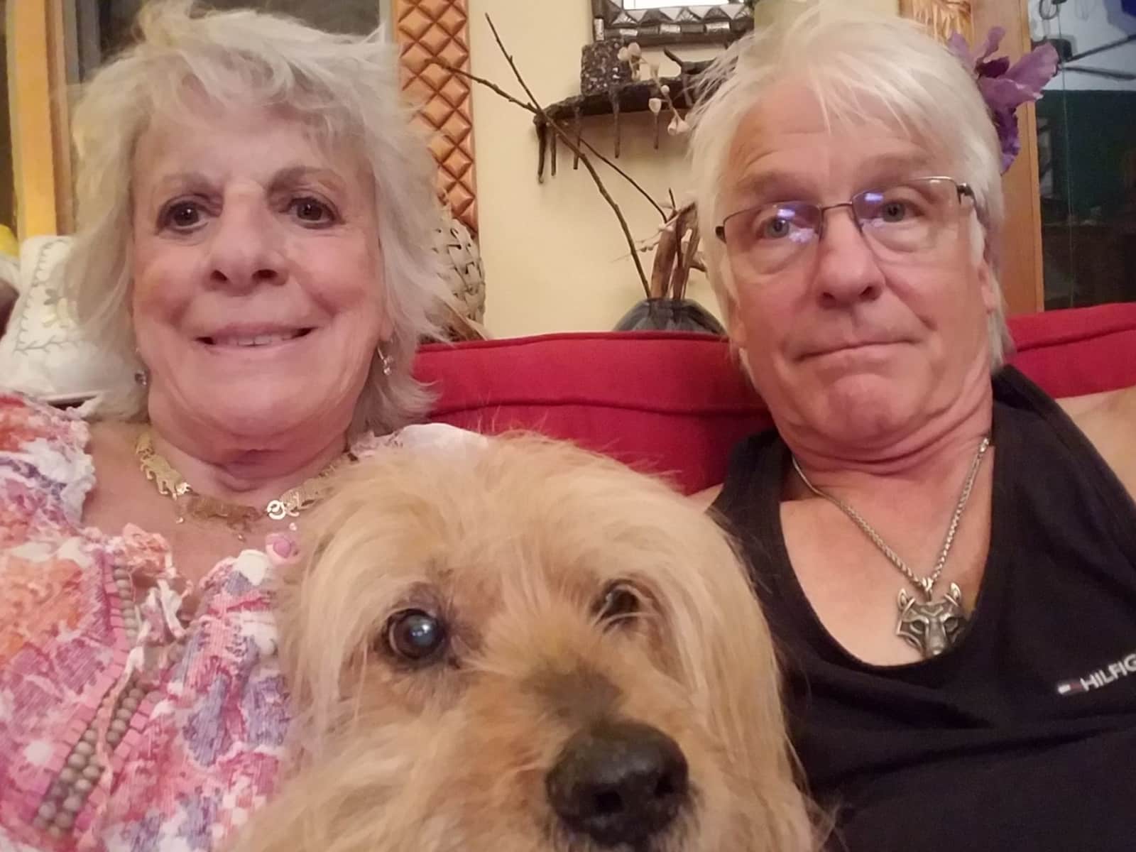 Carol & Ulfur from Northbrook, Illinois, United States