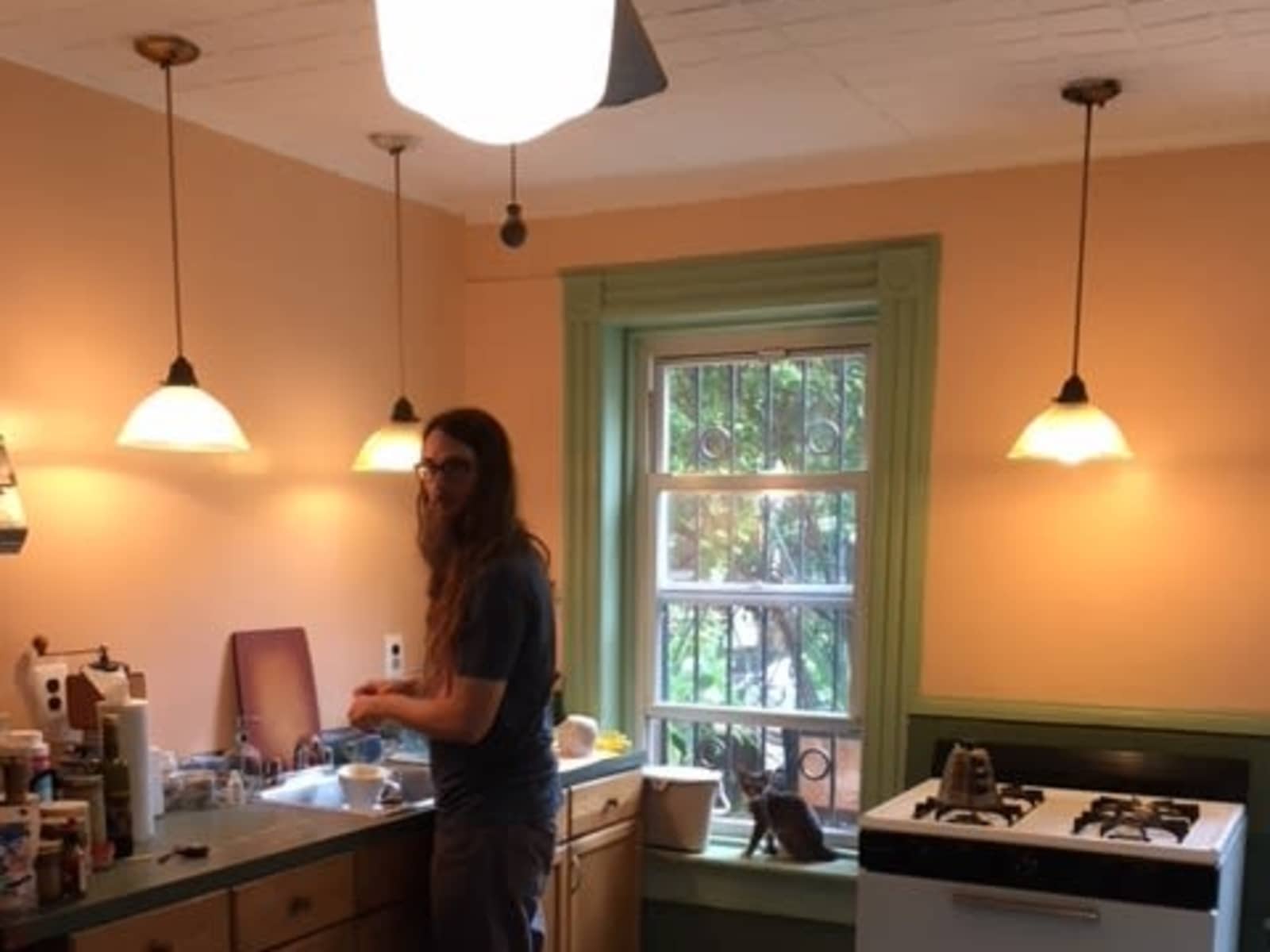 Housesitting assignment in Brooklyn, New York, United States