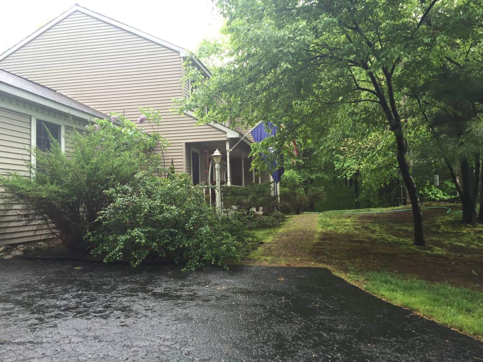 Housesitting assignment in Albany, New York, United States