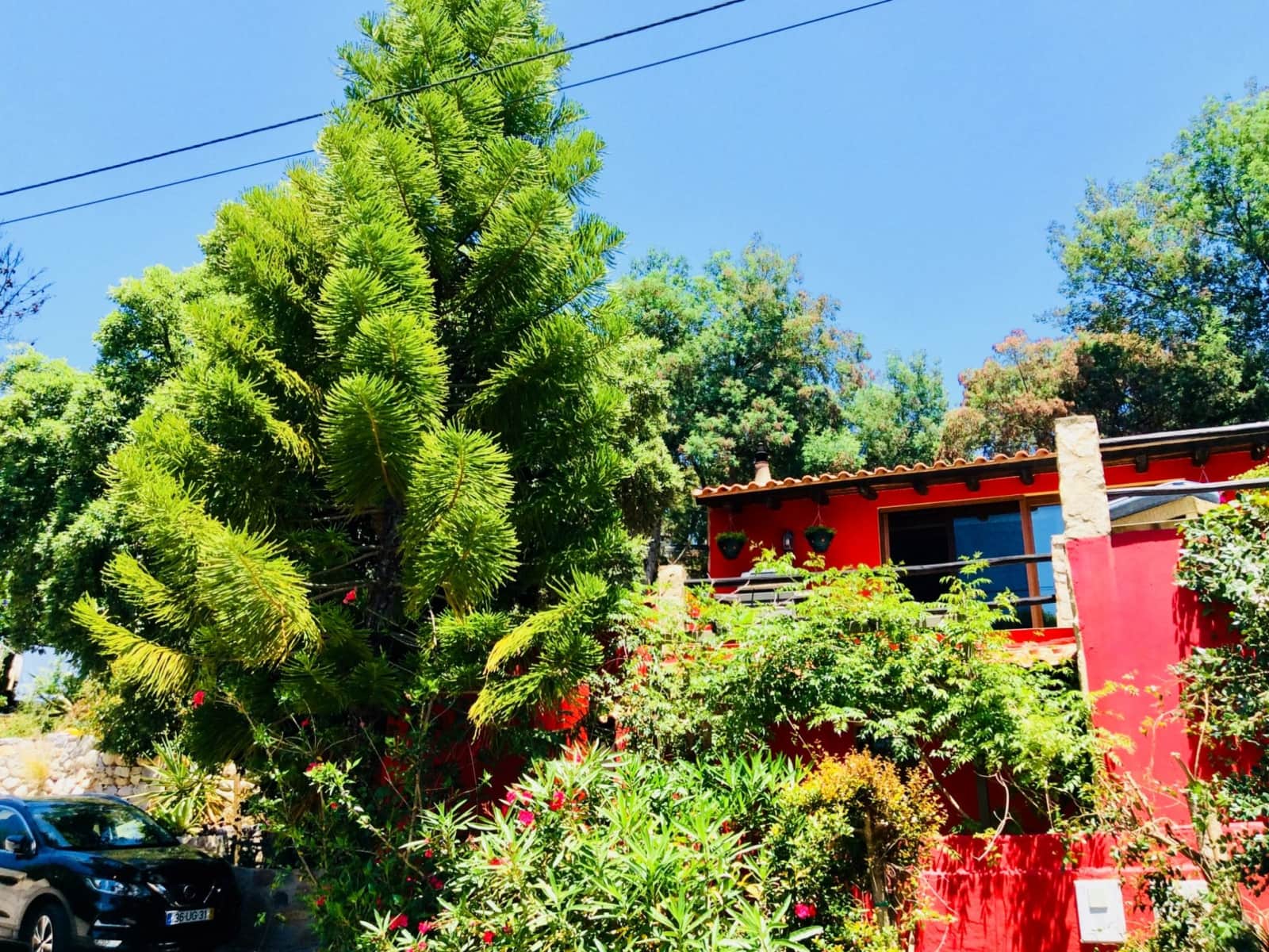 Housesitting assignment in Monchique, Portugal