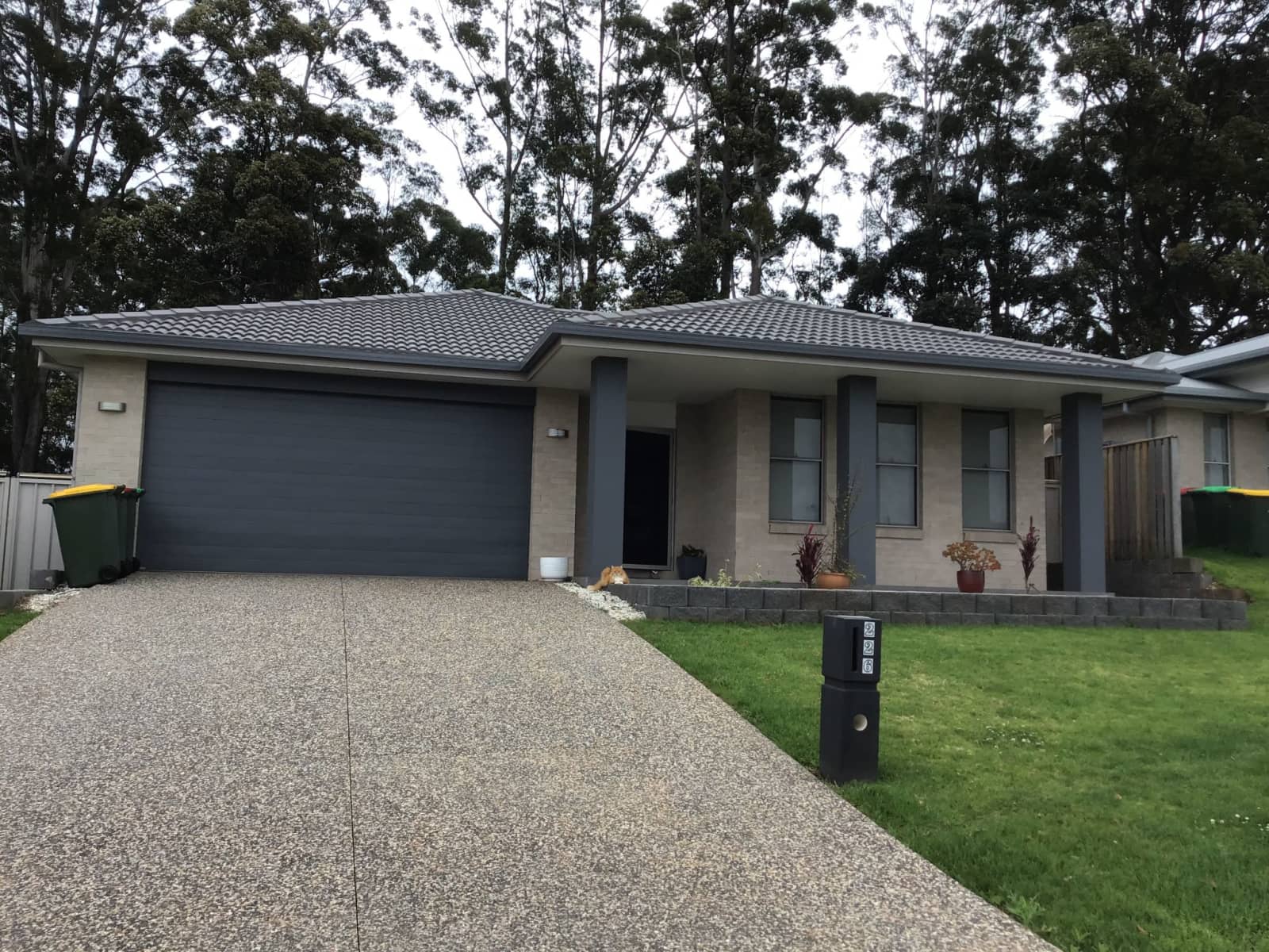 Housesitting assignment in Port Macquarie, New South Wales, Australia