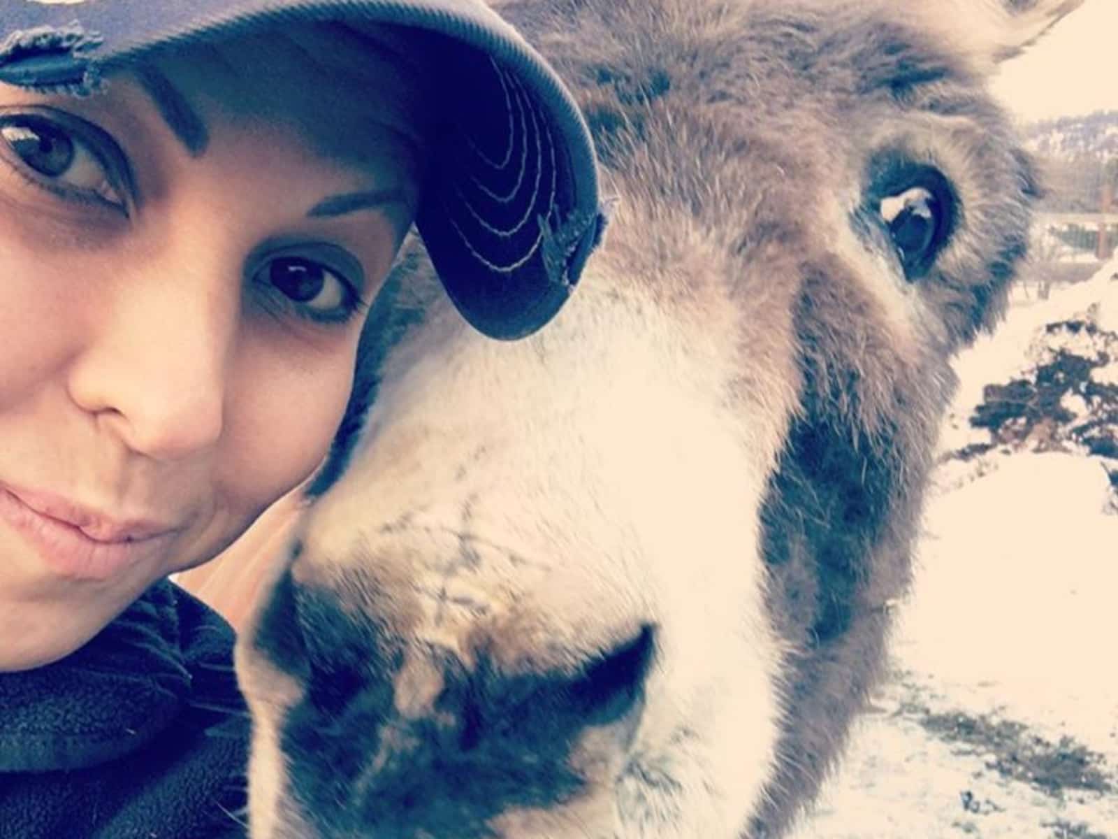Carrie from Spokane, Washington, United States