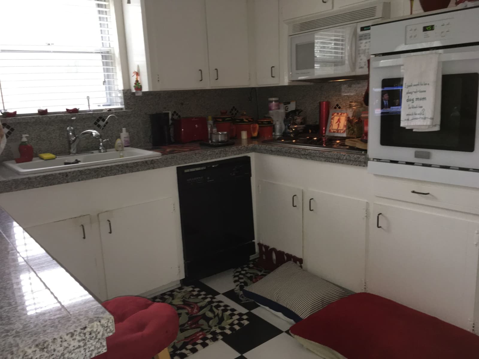Housesitting assignment in Houston, Texas, United States