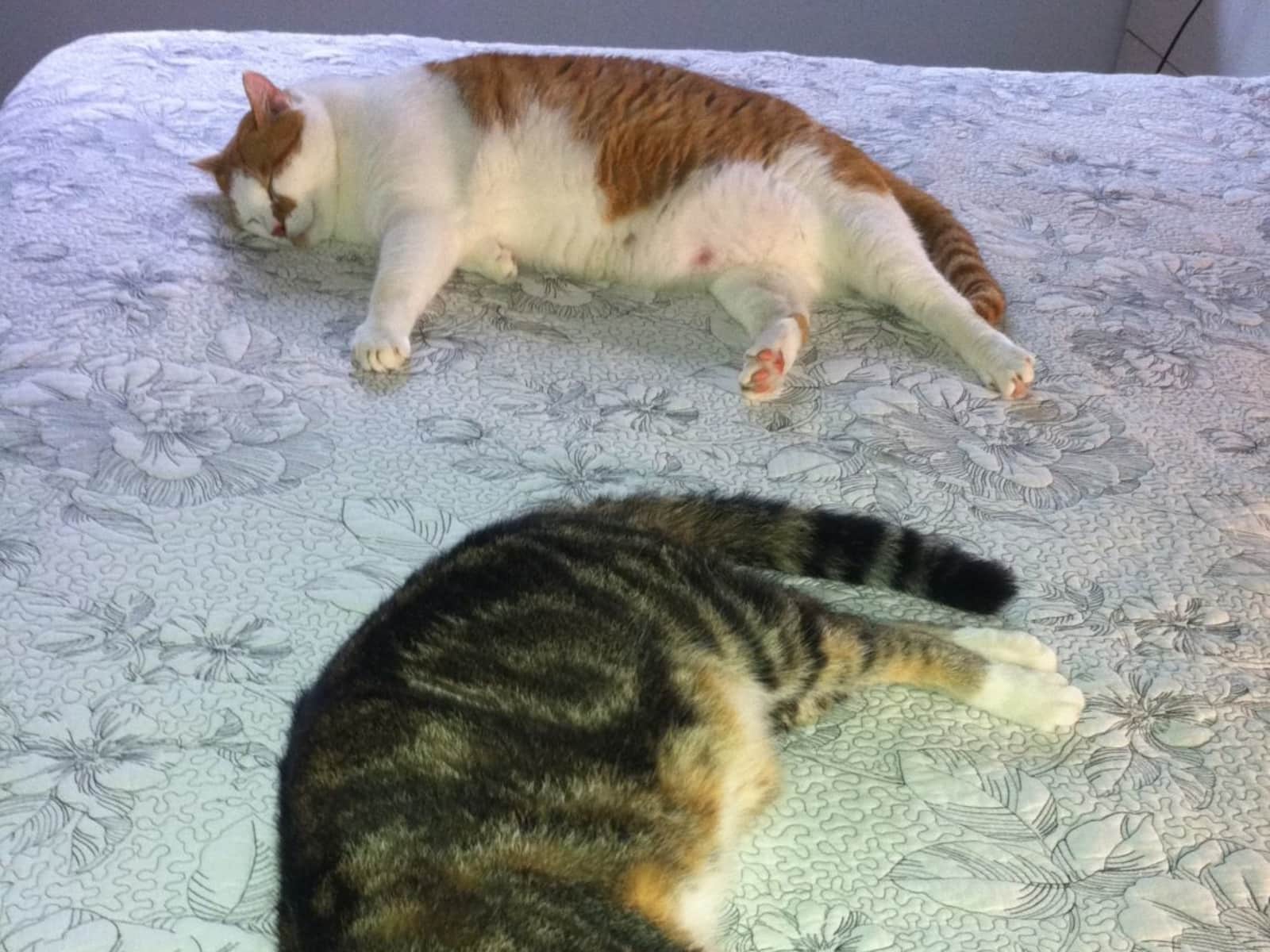 Sharon & Linus from Darwin, Northern Territory, Australia