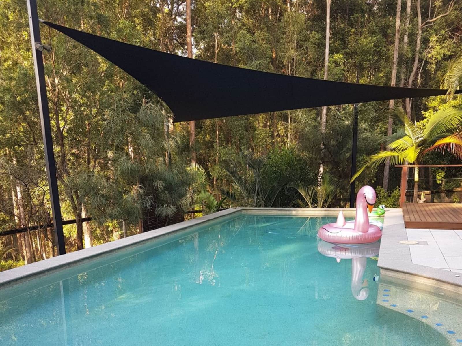Housesitting assignment in Caloundra, Queensland, Australia