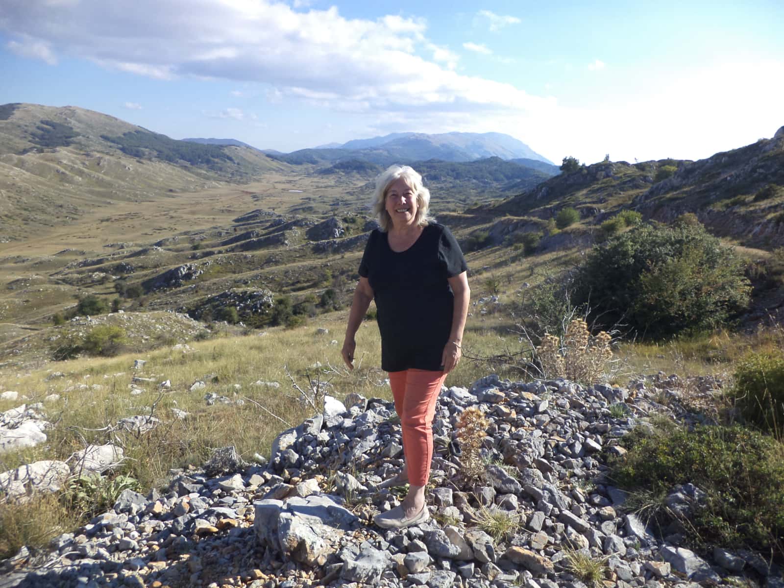 Lyn from Barnstaple, United Kingdom
