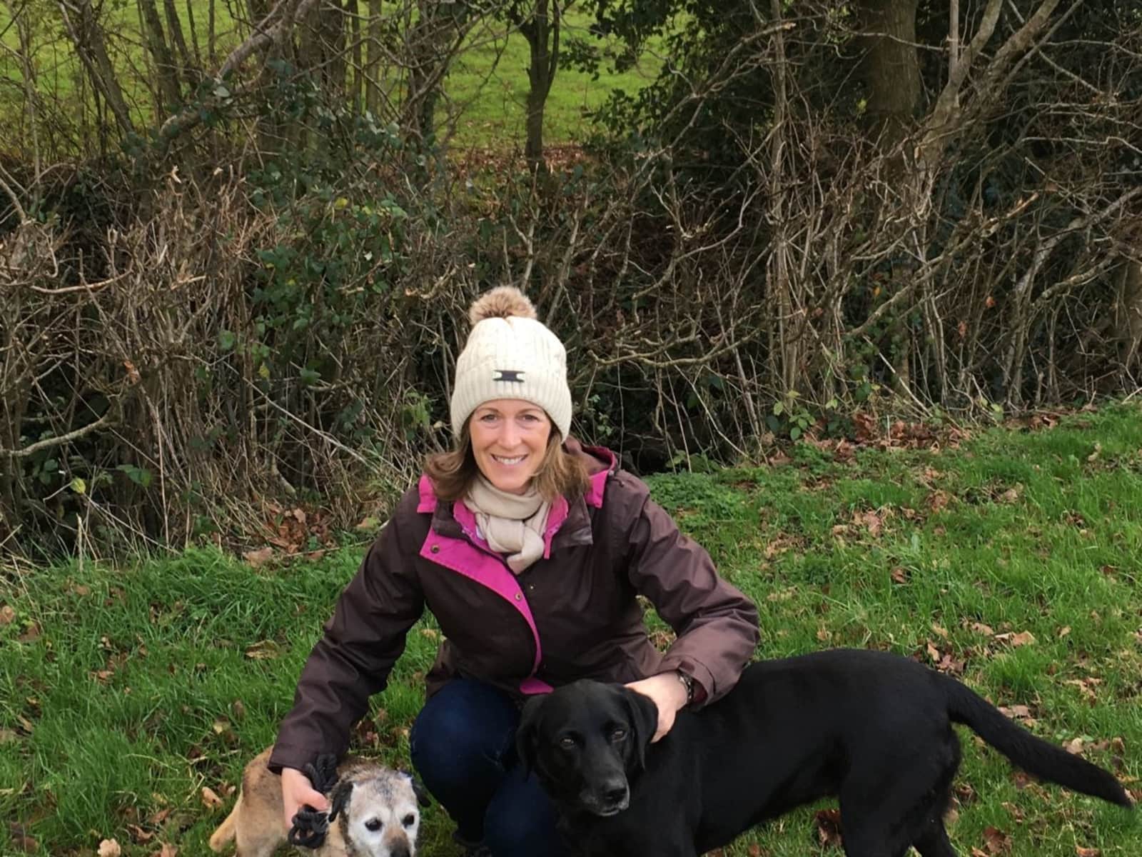 Housesitting assignment in Crowborough, United Kingdom