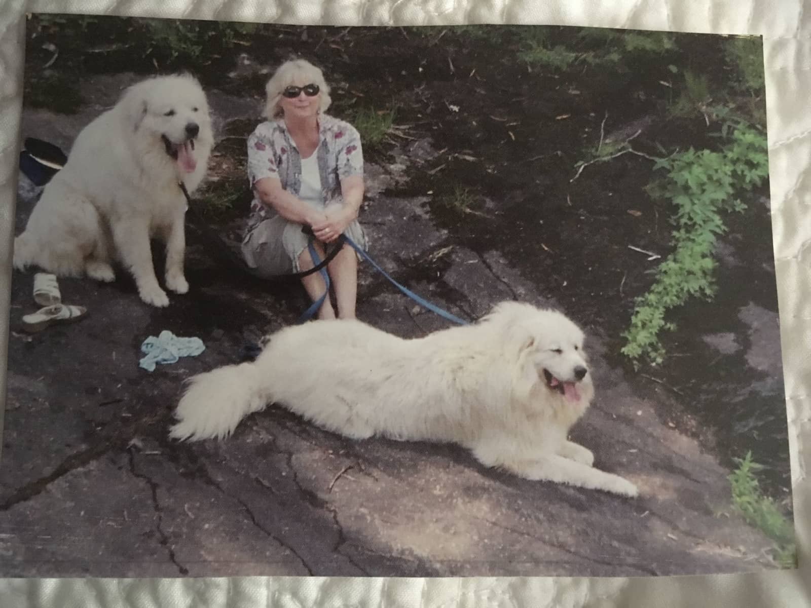 Kacy from Naples, Florida, United States
